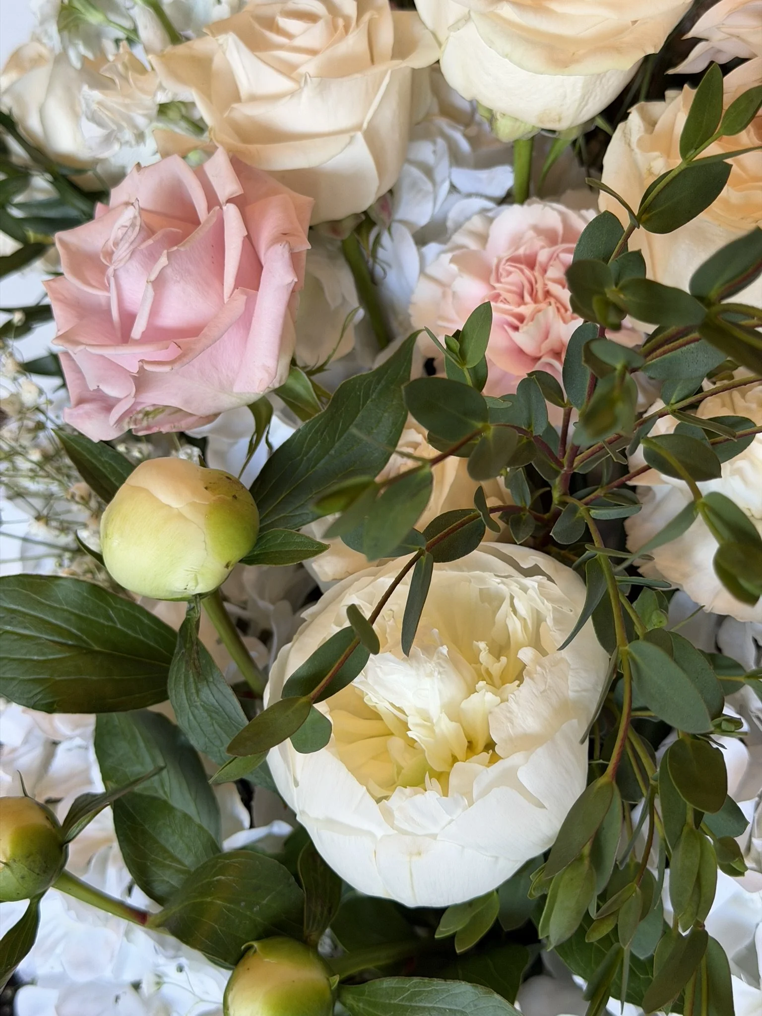 Close-up of a bouquet with light pink and white roses, green leaves, and small green buds.