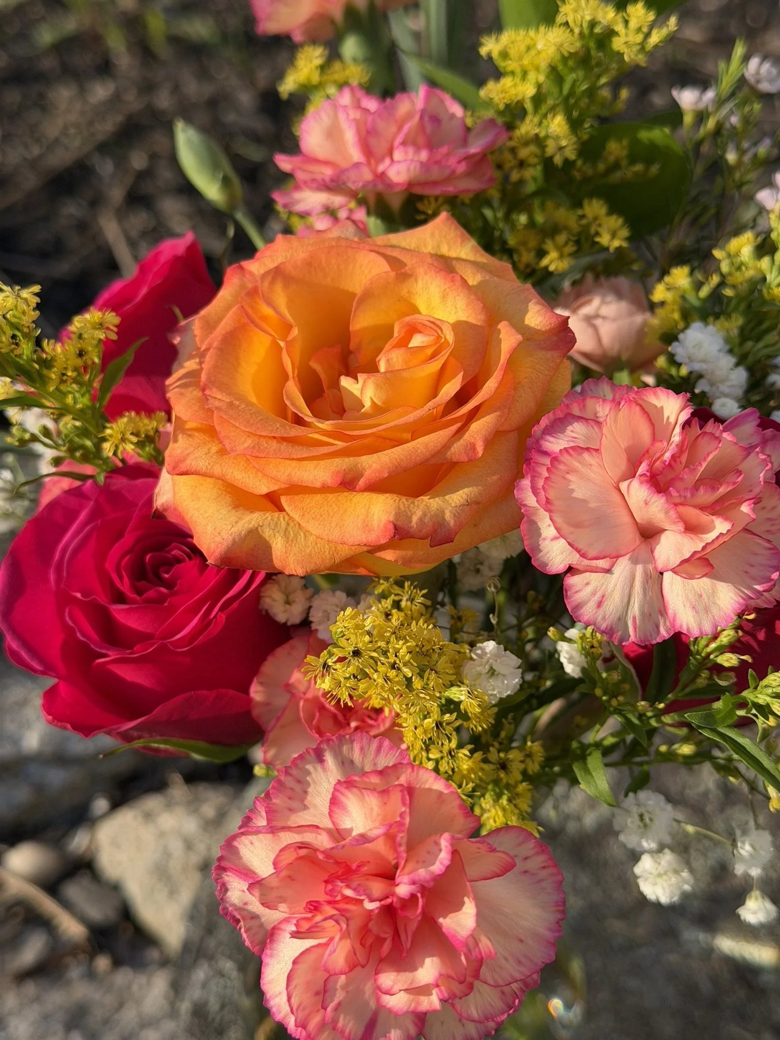 Close-up of a variety of colorful flowers including orange roses, pink carnations, and yellow and white filler flowers, in a garden or flower bed.