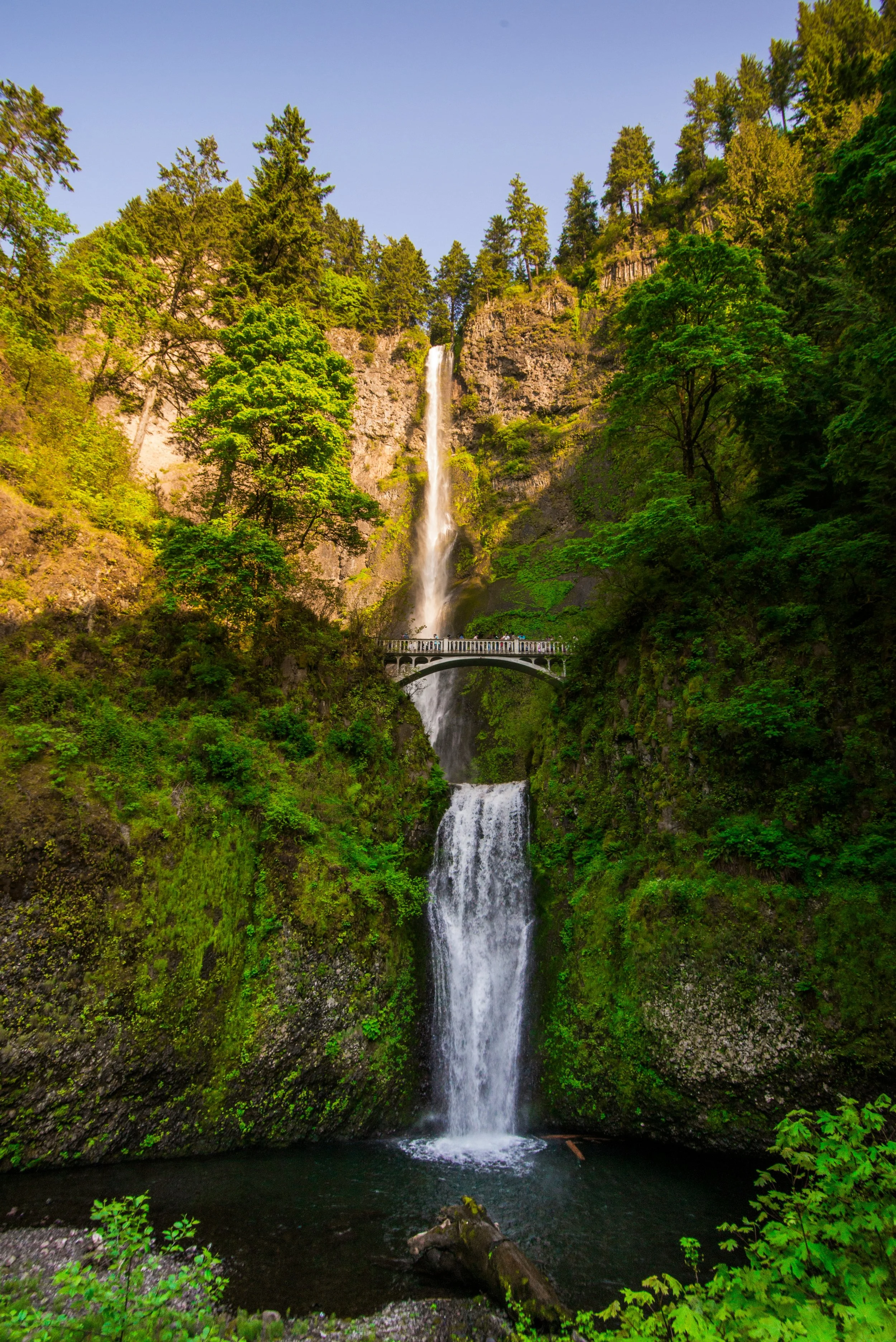 Multnomah Falls with bridge in Multnomah County. Vote for Michael Lee running for Multnomah County Judge in 2026 election.