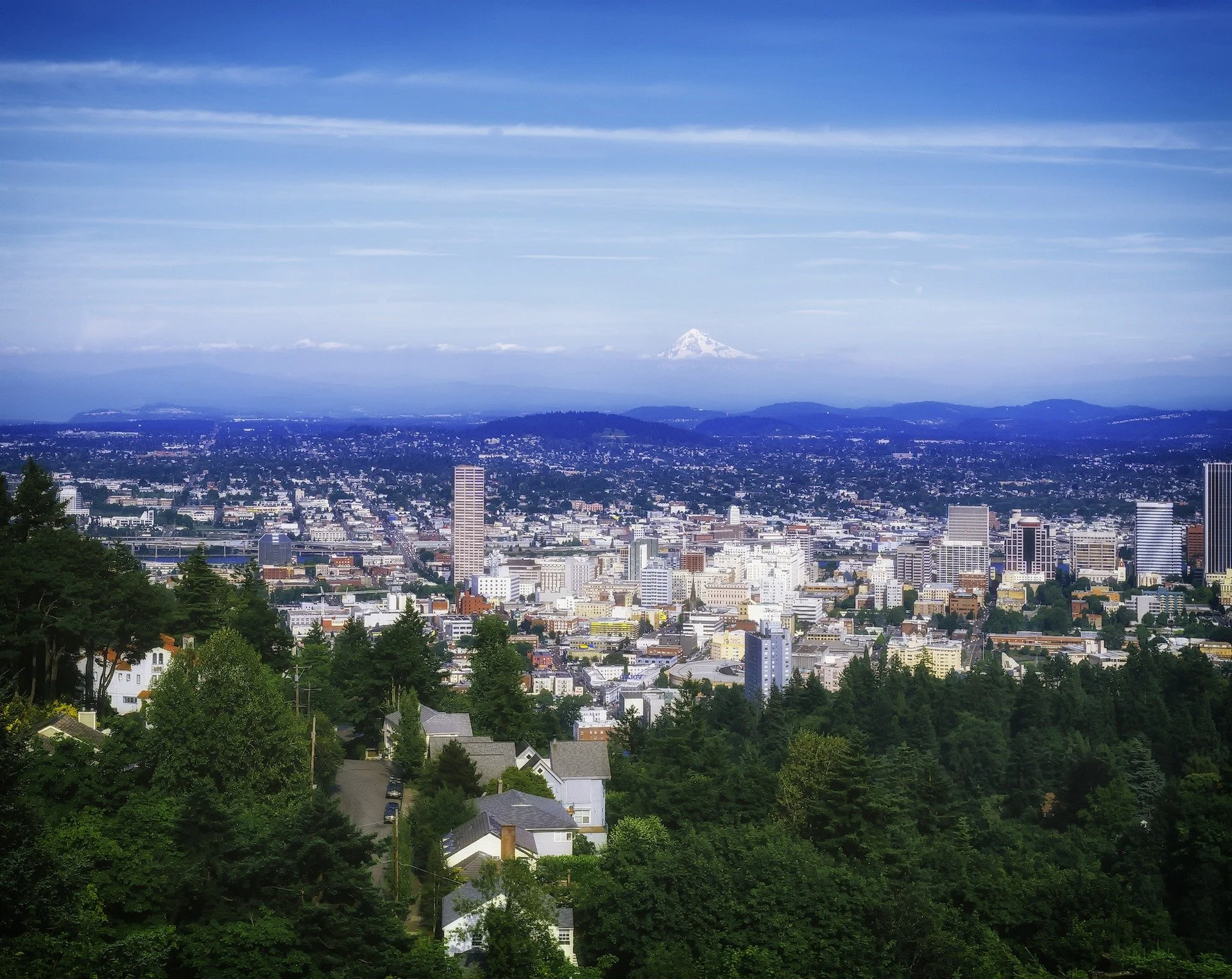 Portland Skyline in Multnomah County with Mount Hood. Vote for Michael Lee running for Multnomah County Judge in 2026 election.