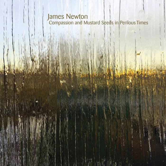 Book cover titled 'Compassion and Mustard Seeds in Perilous Times' by James Newton, featuring an abstract background with vertical streaks resembling rain or tall grass.