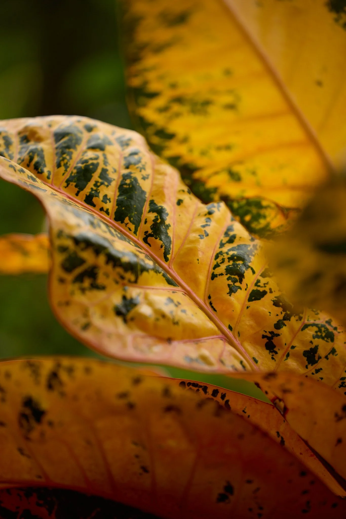 RB5_9276.jpg
