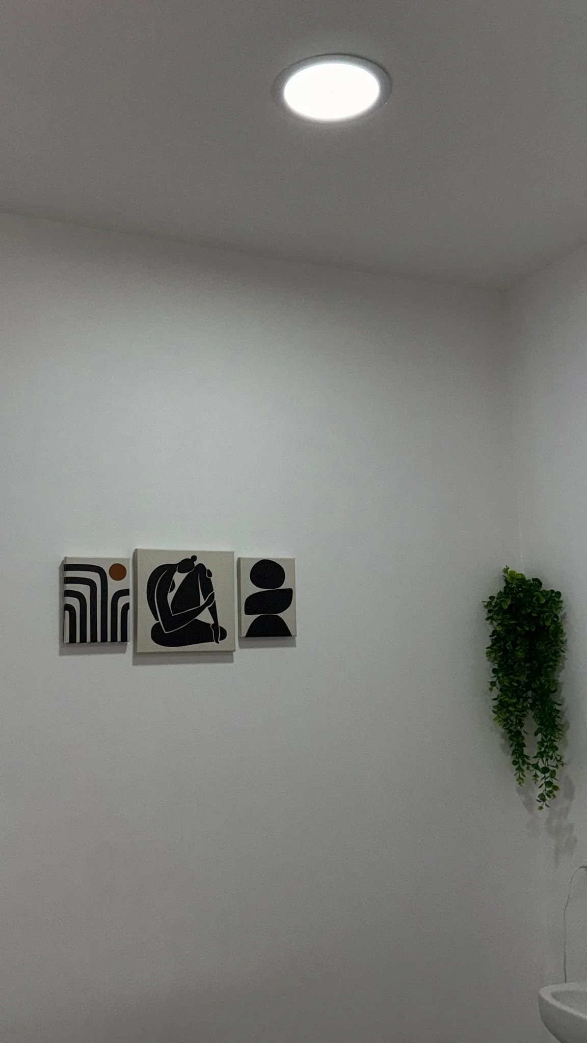 Cuatro cuadros en blanco y negro decorativos en una pared blanca, con un cuadro de líneas abstractas a la izquierda y un cuadro de una figura humana en el centro, y un cuadro de un círculo y una forma redonda a la derecha. Hay una planta colgante en 