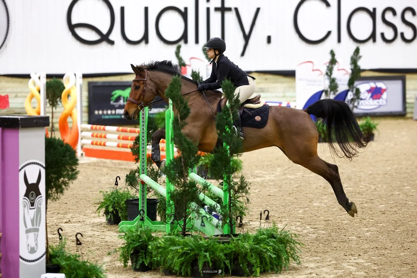 my little ladybug 🐞🥺

horse show, horse show life, world equestrian center, wilmington, wec ohio