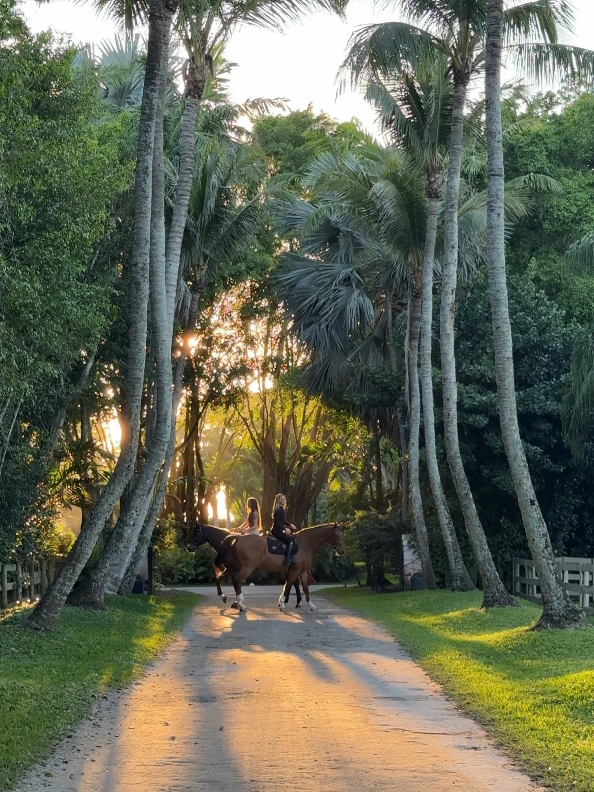 wef week 12🌴🐎

horse girl, equestrian, entrepreneur, equestrian lifestyle