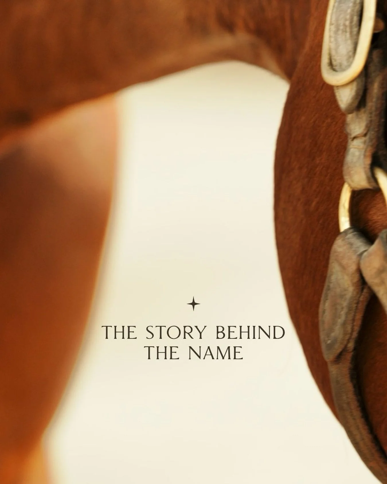 every brand has a story. this one starts with a horse named, henry //

studio bonheure takes its name from my horse Henry&rsquo;s show name, &agrave; la bonheure, which is a play on french sayings combining &ldquo;to happiness&rdquo; and &ldquo;at th