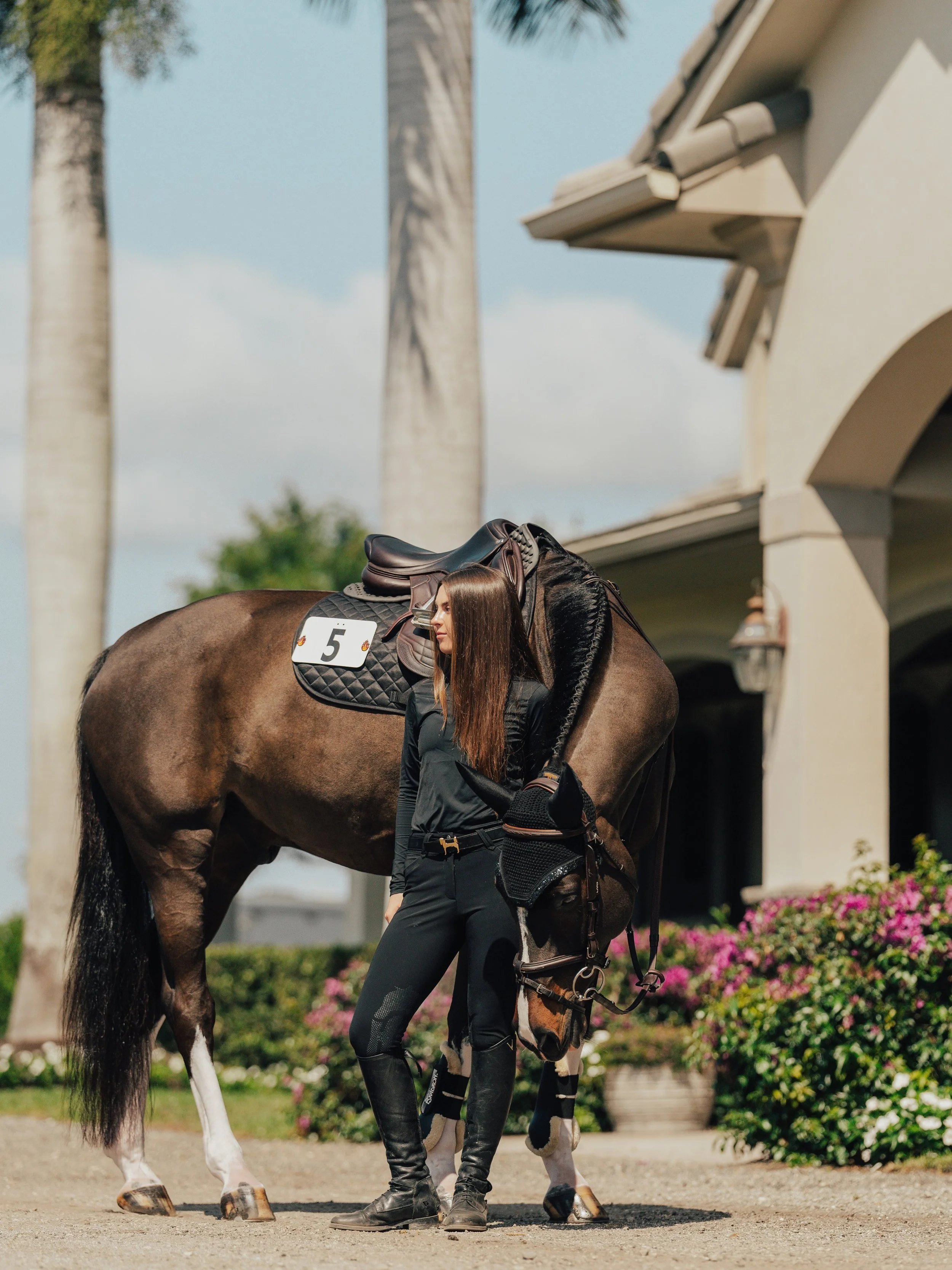 mane event x victoria //

#equinephotography #brandphotography #horsegirl #wellington #equestrianlife