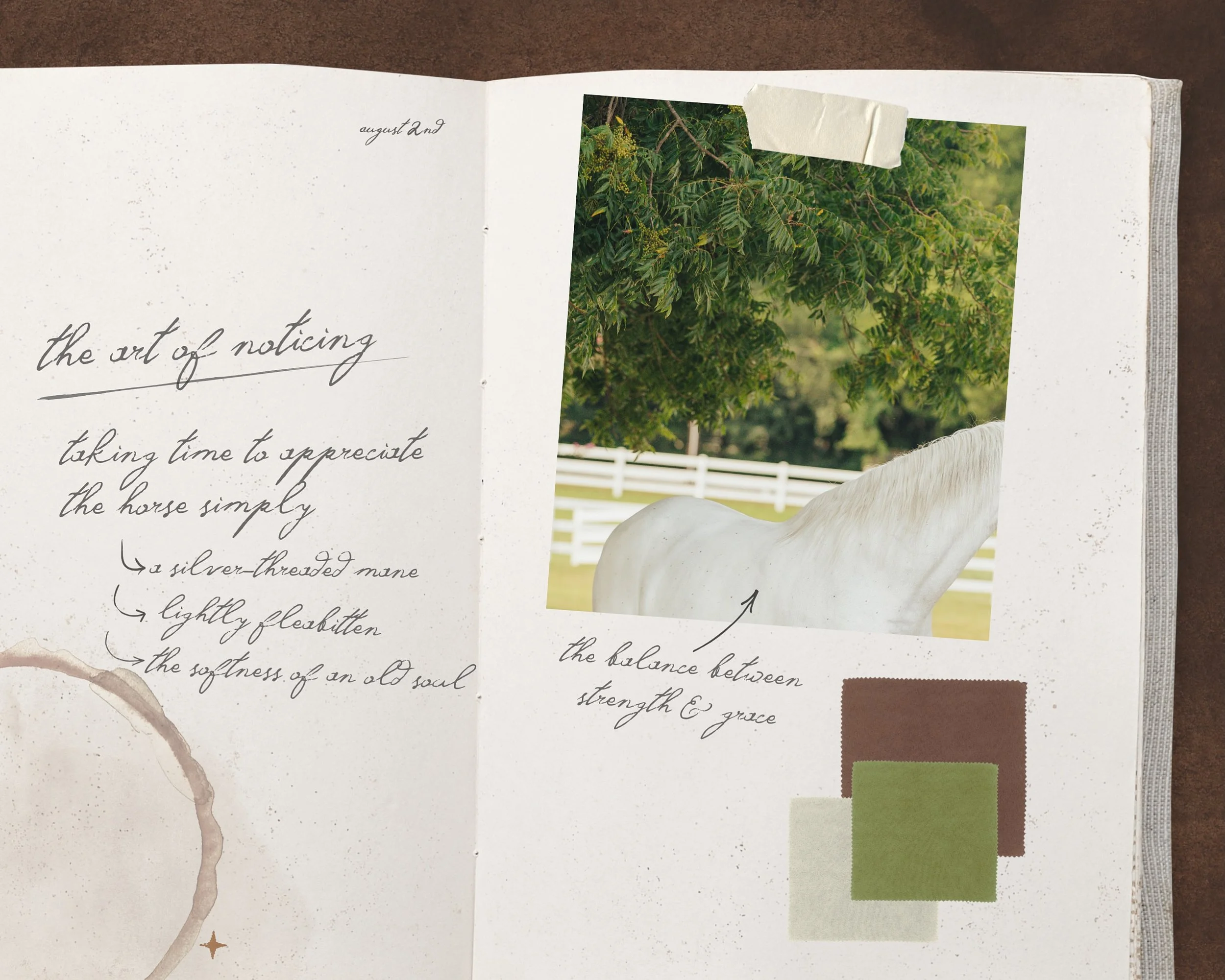 studies // the art of noticing 

the more time you spend around horses, the more you realize it&rsquo;s the smallest details that stay with you.

this is a study in observation. the details that are easy to overlook, but impossible to forget once you