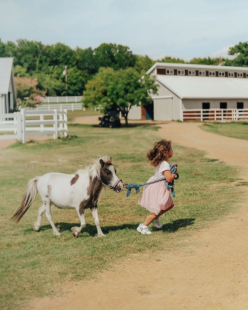 oh to be a horse girl //

@fortebellaequestrian 

#horsegirl #horselove #saddleclub #firstpony #equinepgotographer