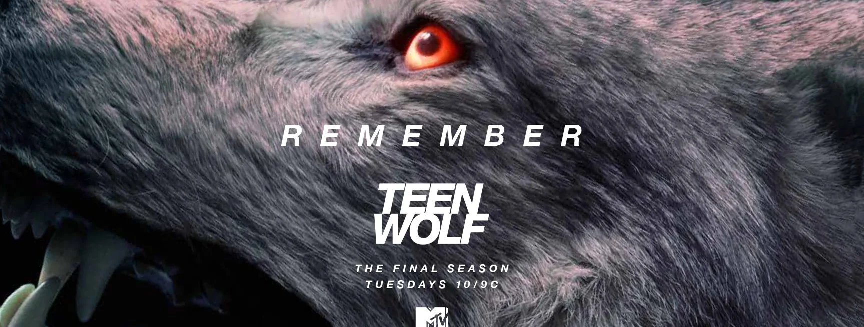 MTV's Teen Wolf Season 6