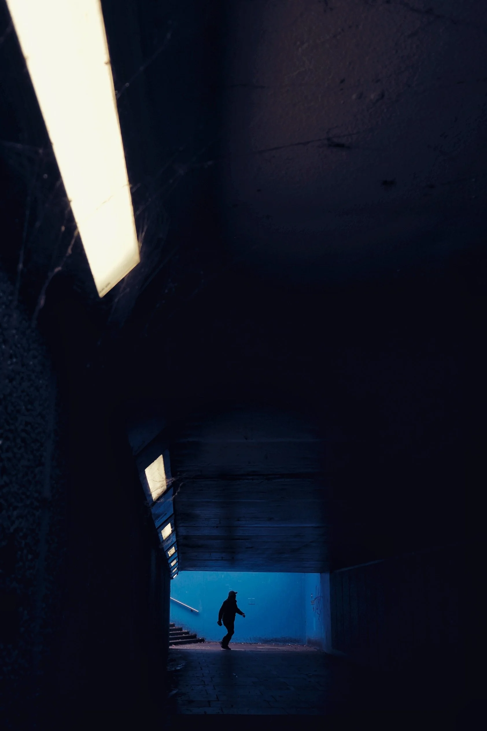 A3900F47-BF1B-461A-8708-9810CE03FF78-521-000000B1E8EBB444.jpeg
