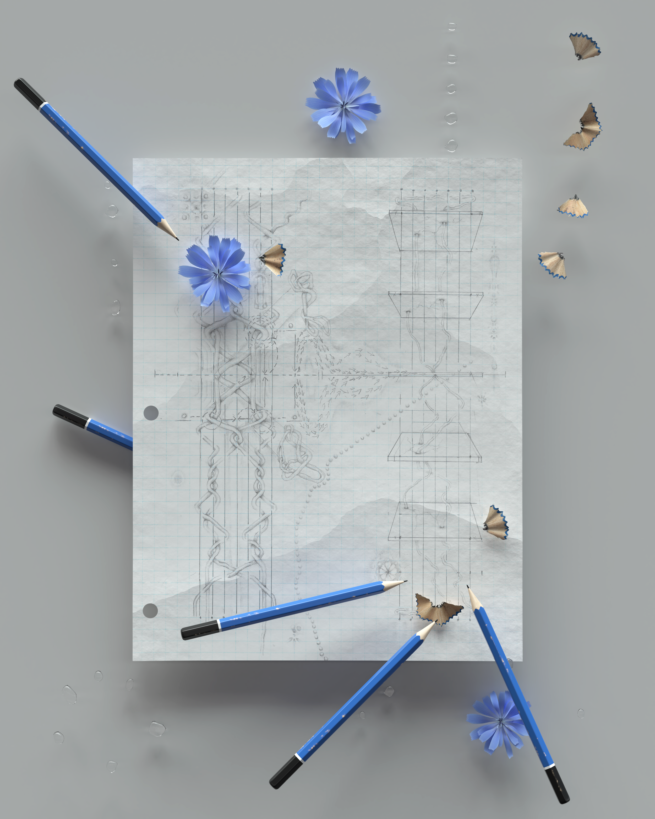 Untitled (Bifurcation Series), 2020. Graphite drawing in digital environment 