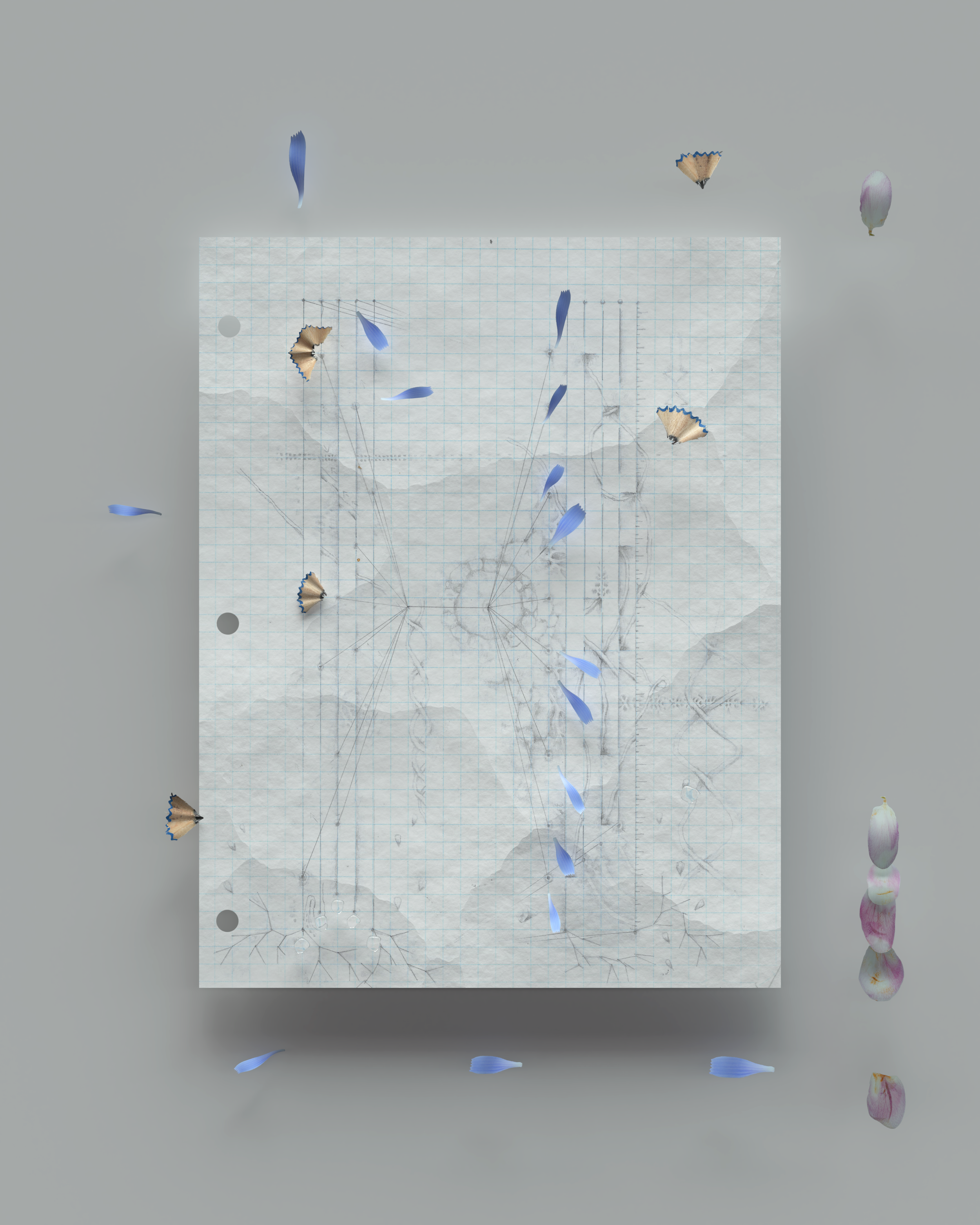 Untitled (Bifurcation Series), 2020. Graphite drawing in digital environment 