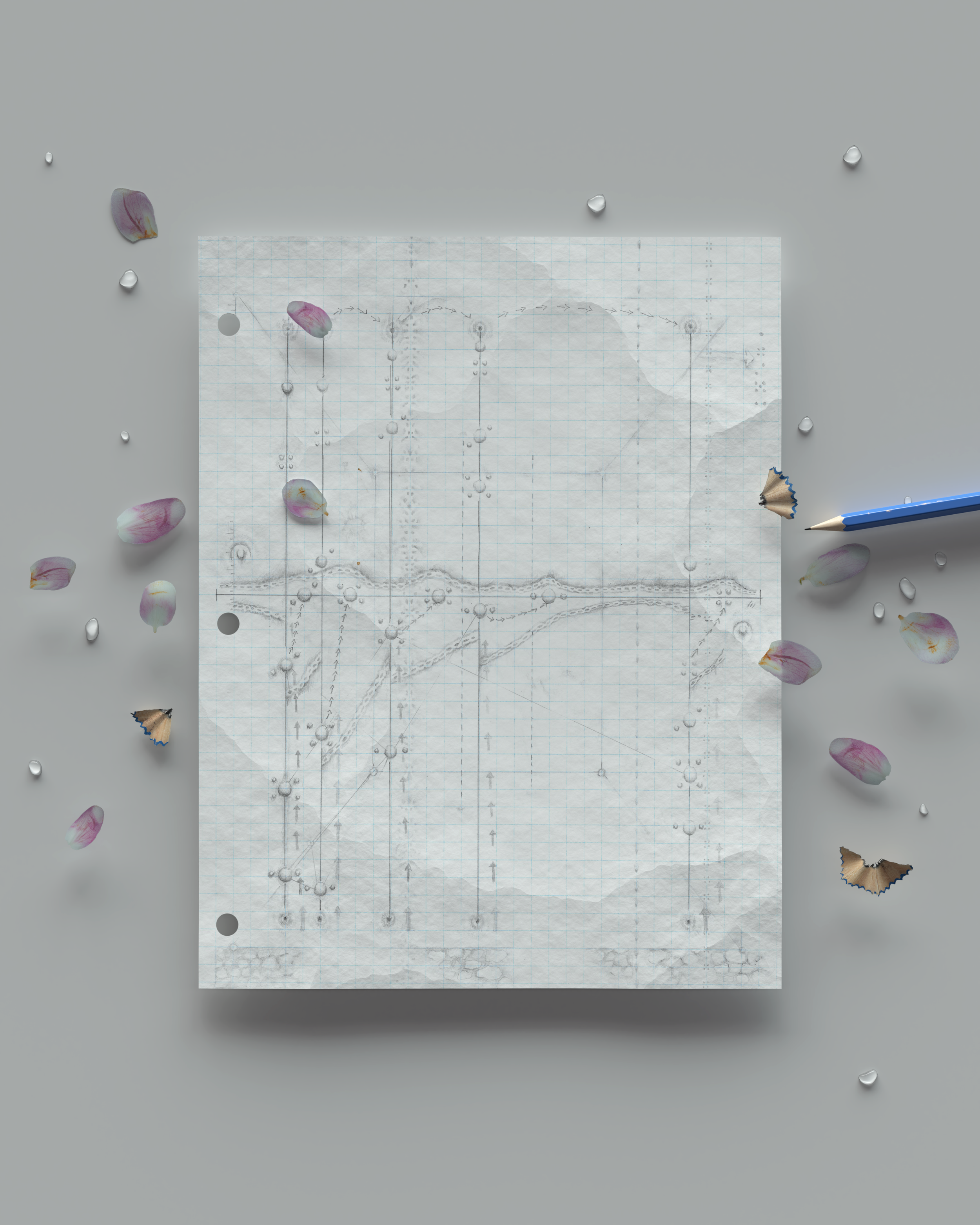 Untitled (Bifurcation Series), 2020. Graphite drawing in digital environment 