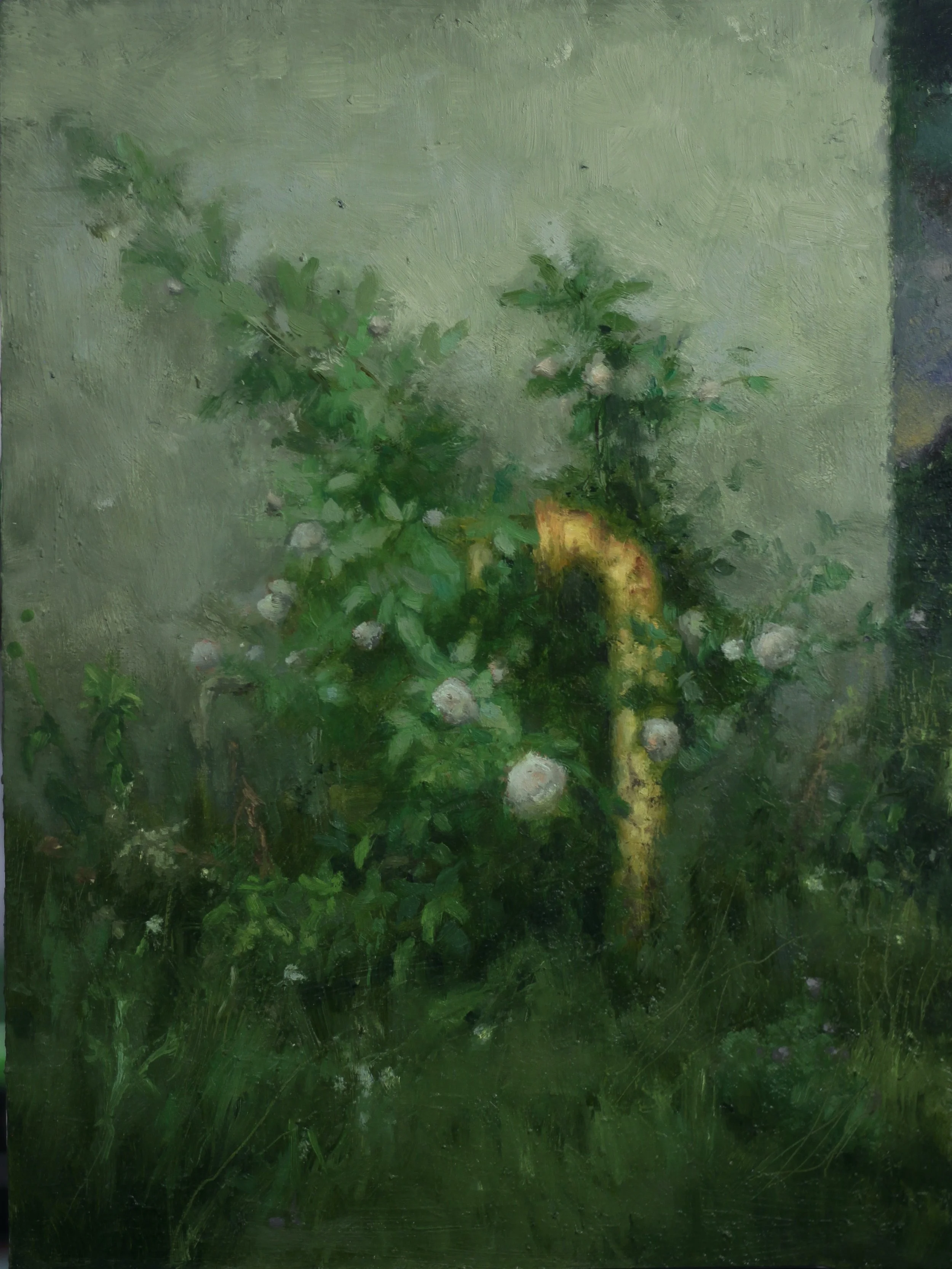 Study for Doppelgänger, 2024. Oil on panel 9" x 12" 