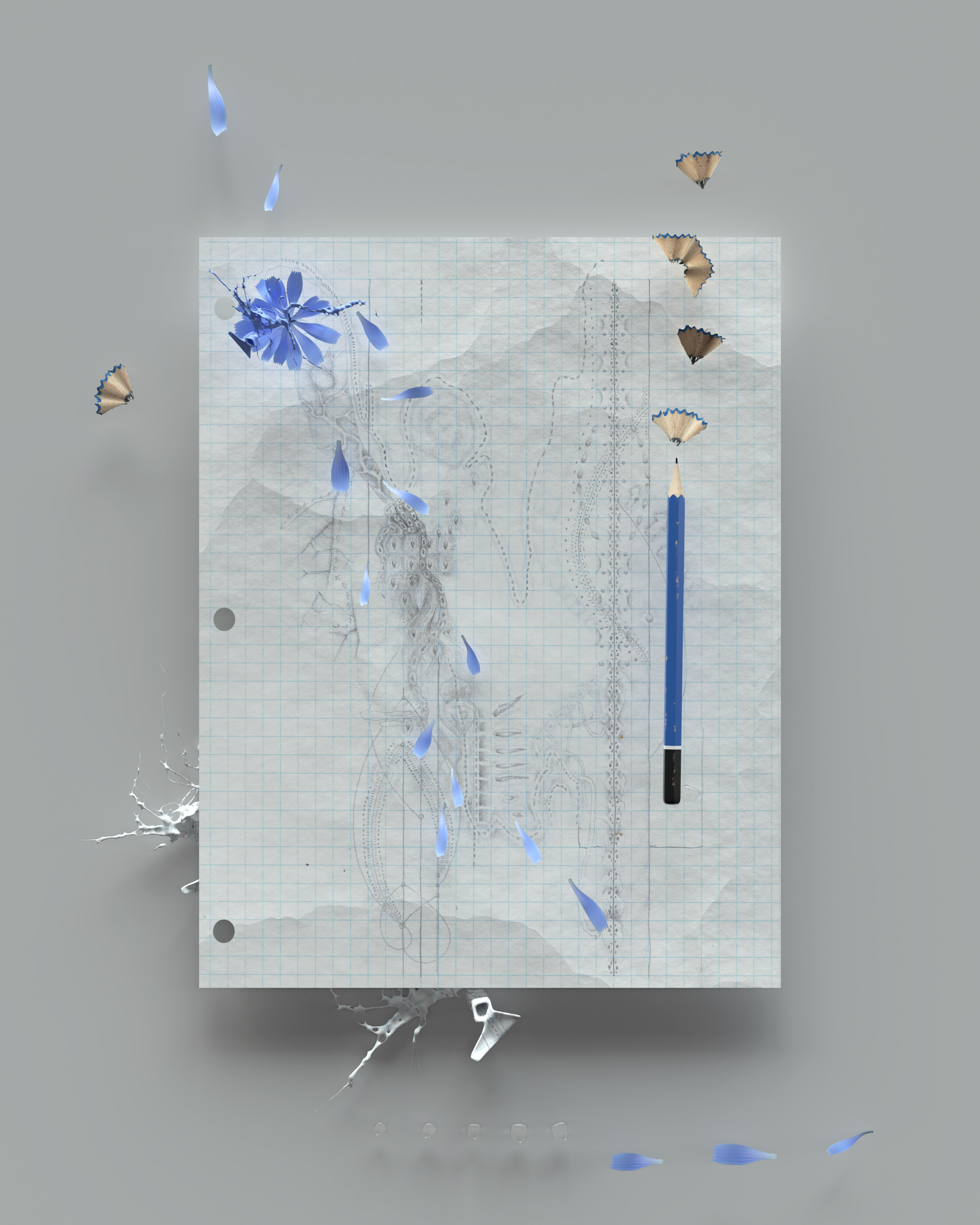 Untitled (Bifurcation Series), 2020. Graphite drawing in digital environment 