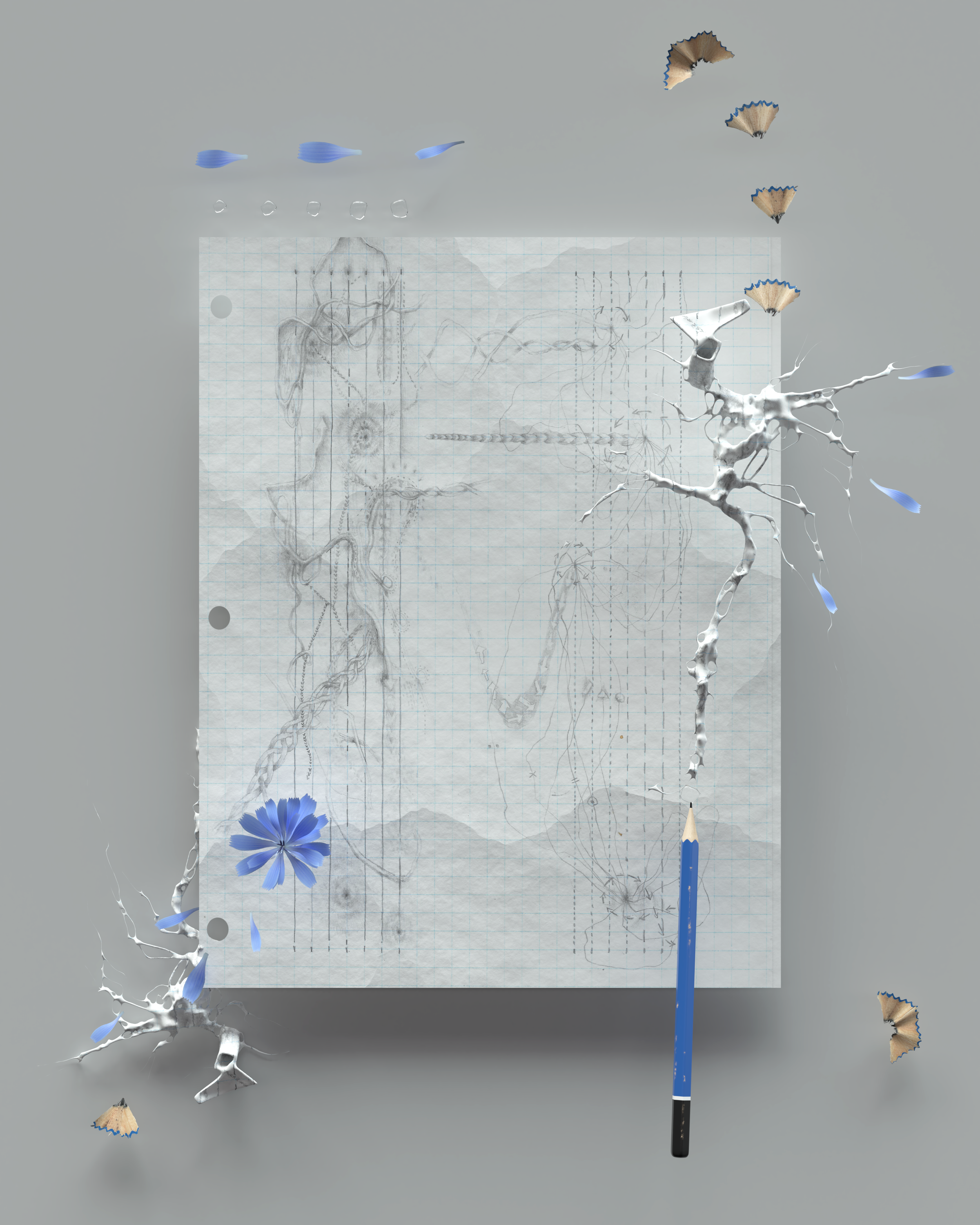 Untitled (Bifurcation Series), 2020. Graphite drawing in digital environment 