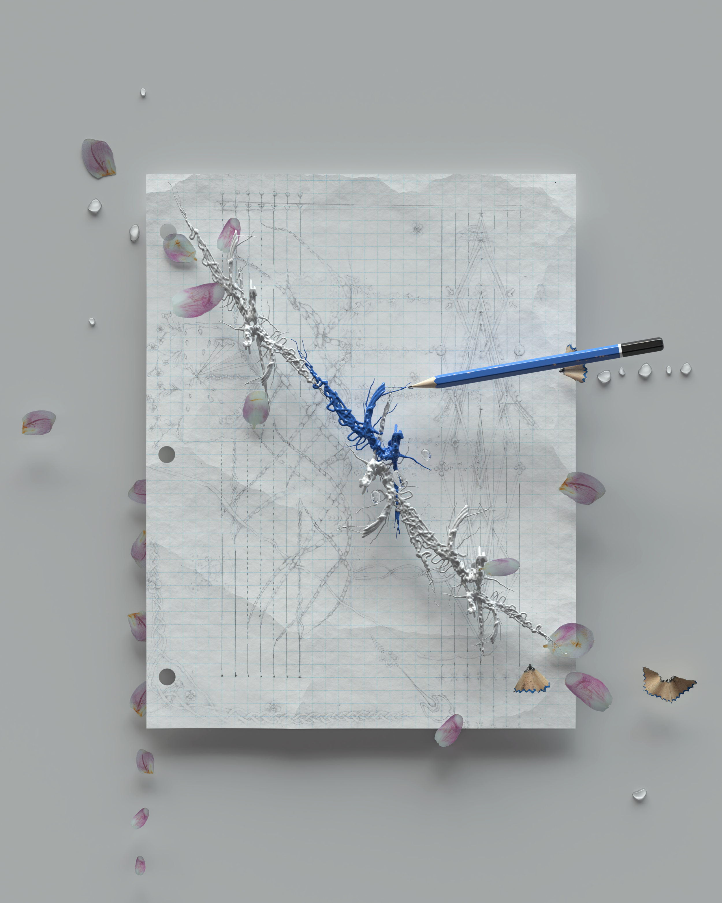 Untitled (Bifurcation Series), 2020. Graphite drawing in digital environment 