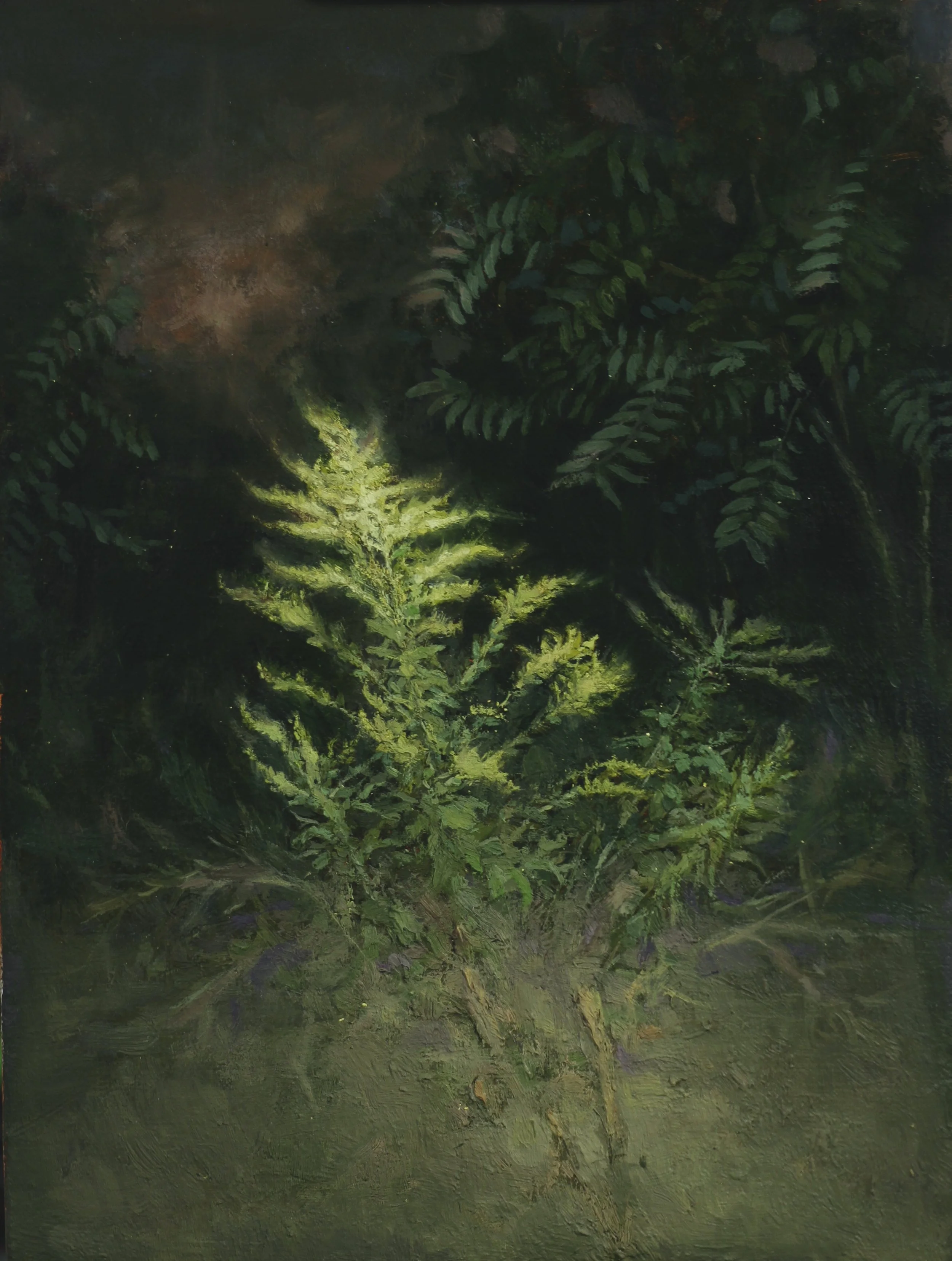 Citrinitas, 2025. Oil on linen, 9" x 12"