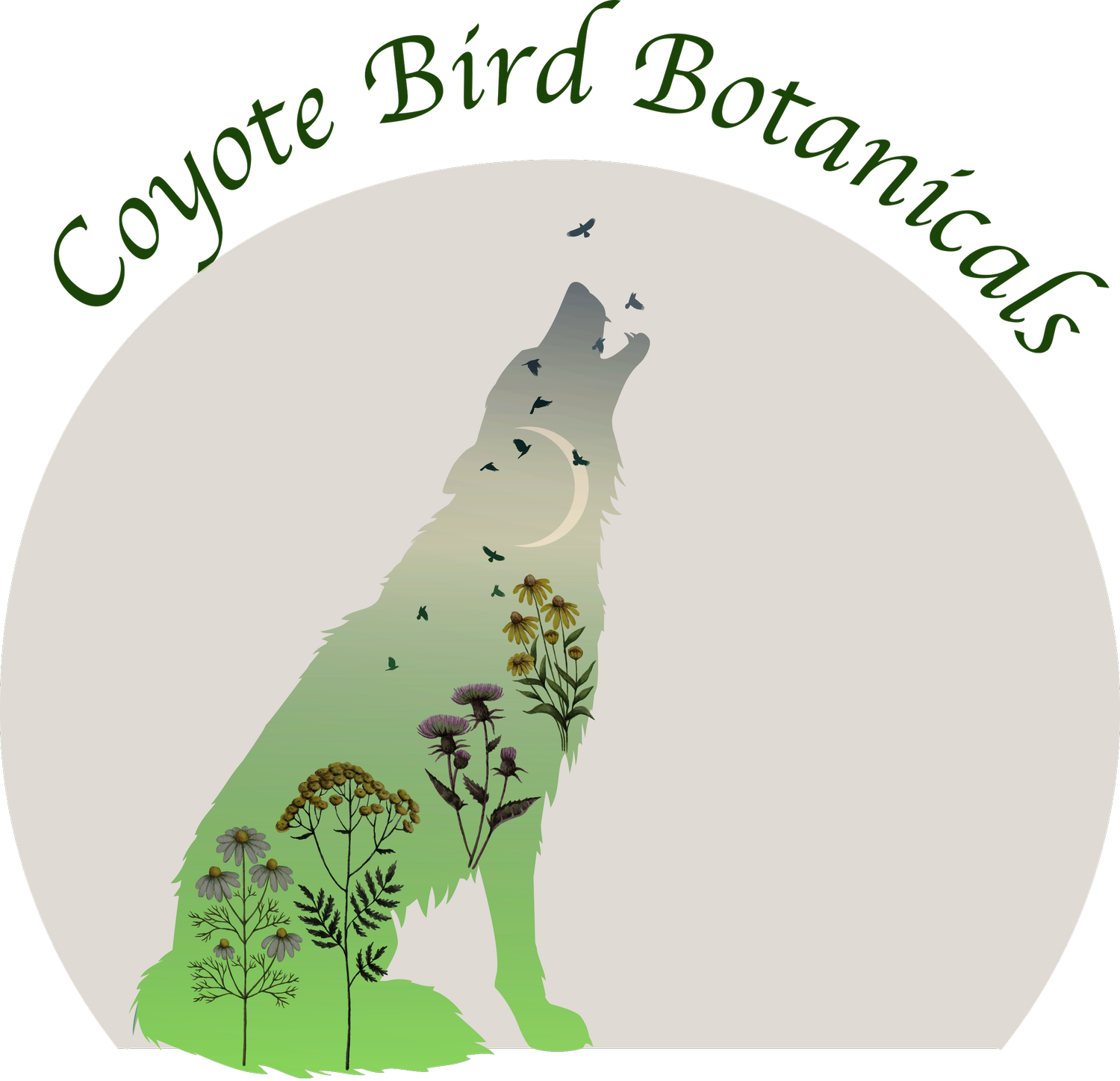 Coyote Bird Botanicals