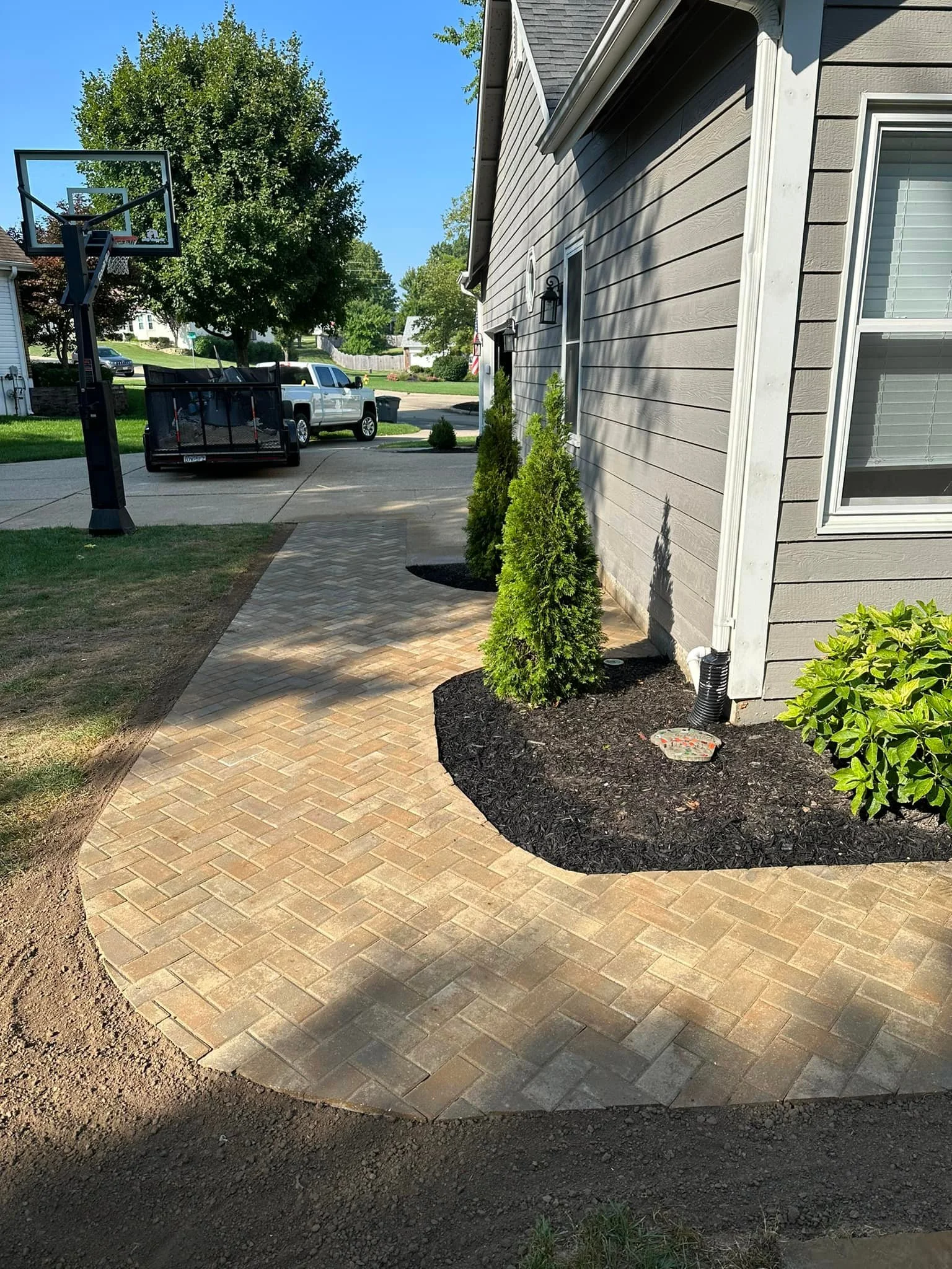 A newly paved brick walkway alongside a house with exterior gray siding, three small evergreen bushes, and a garden bed with mulch. In the background, there is a driveway with a basketball hoop, a small trailer, and vehicles in a suburban neighborhood.