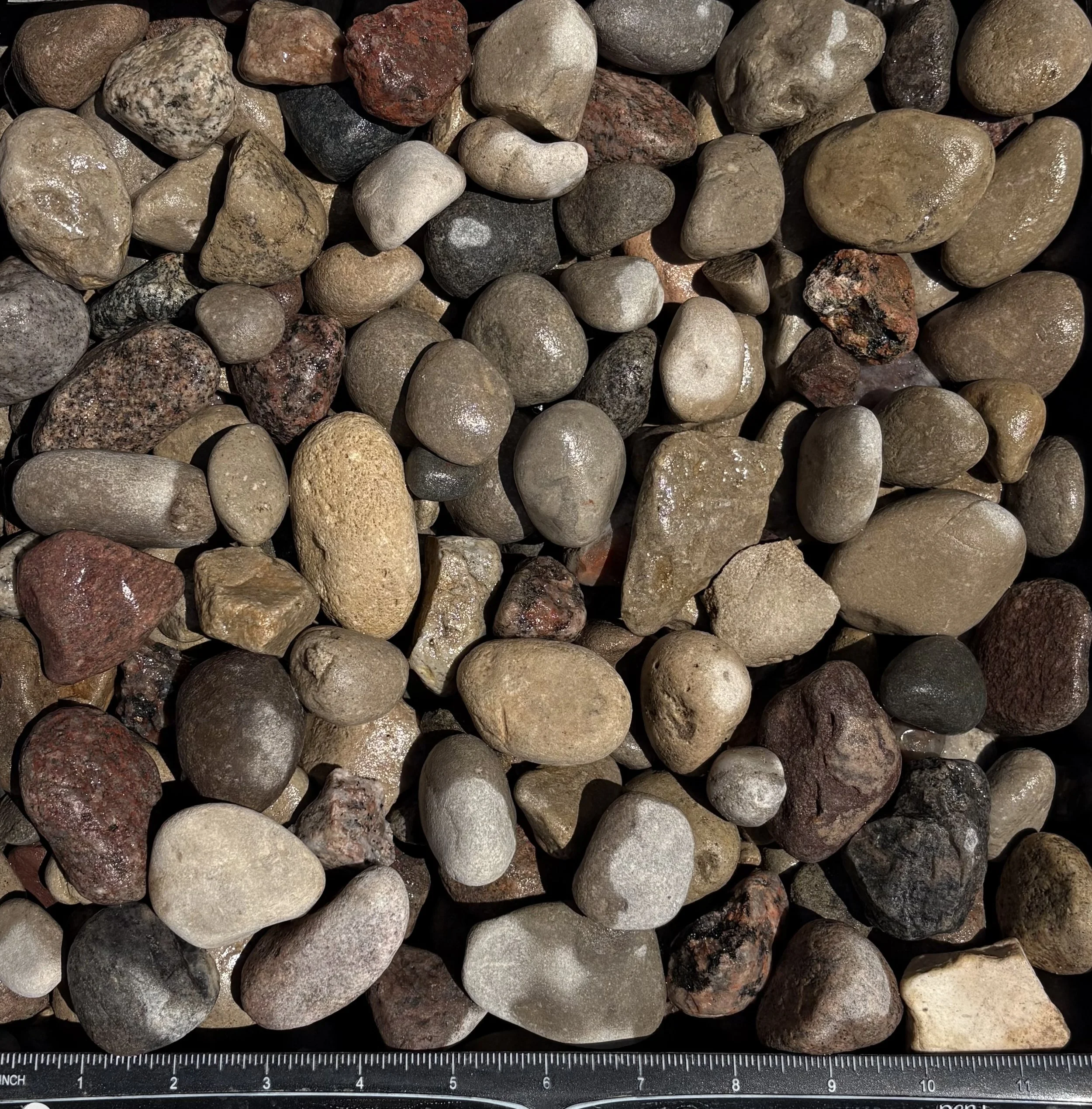 Cali Cobble Small 