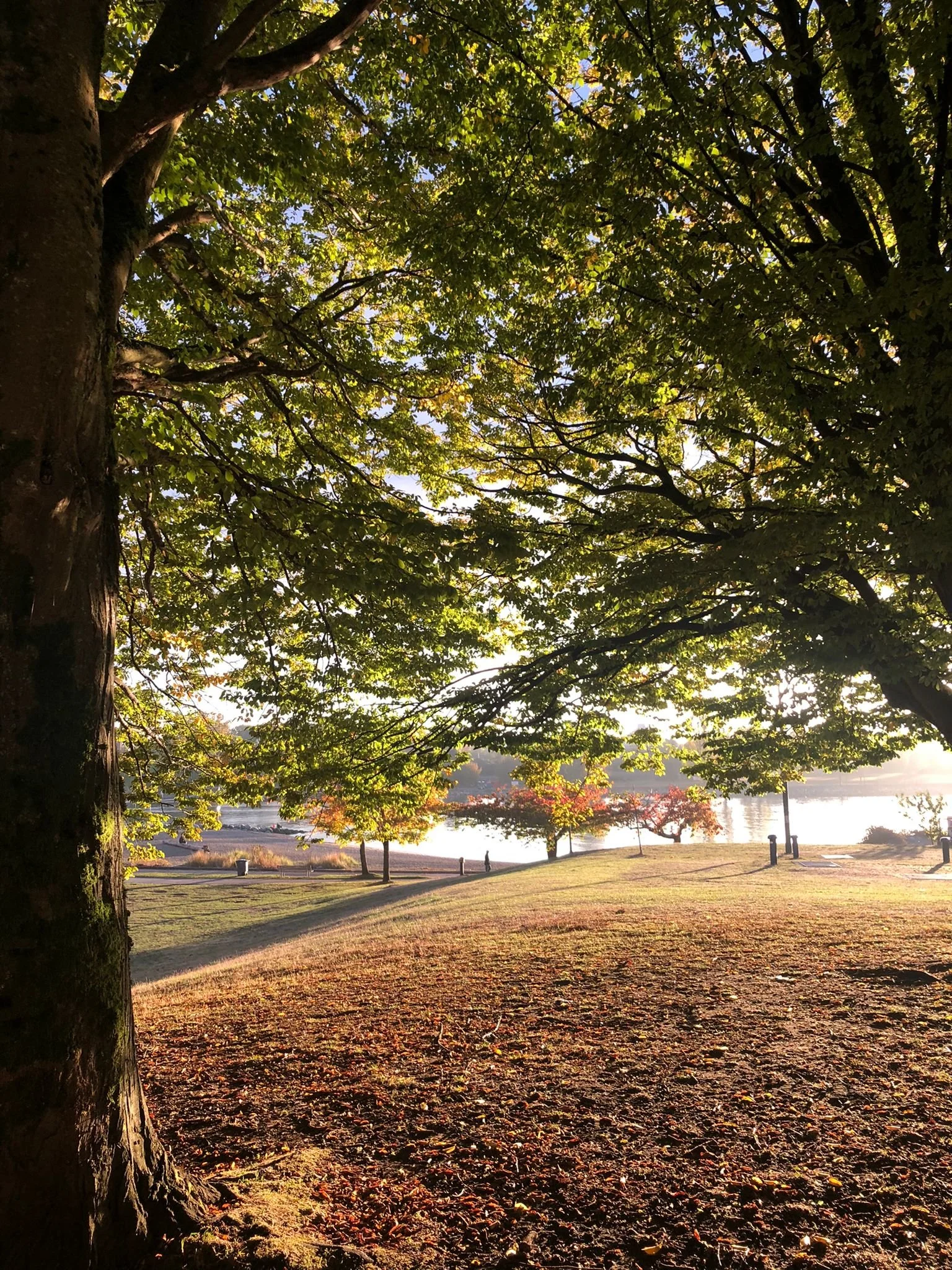 Morning sun in the city