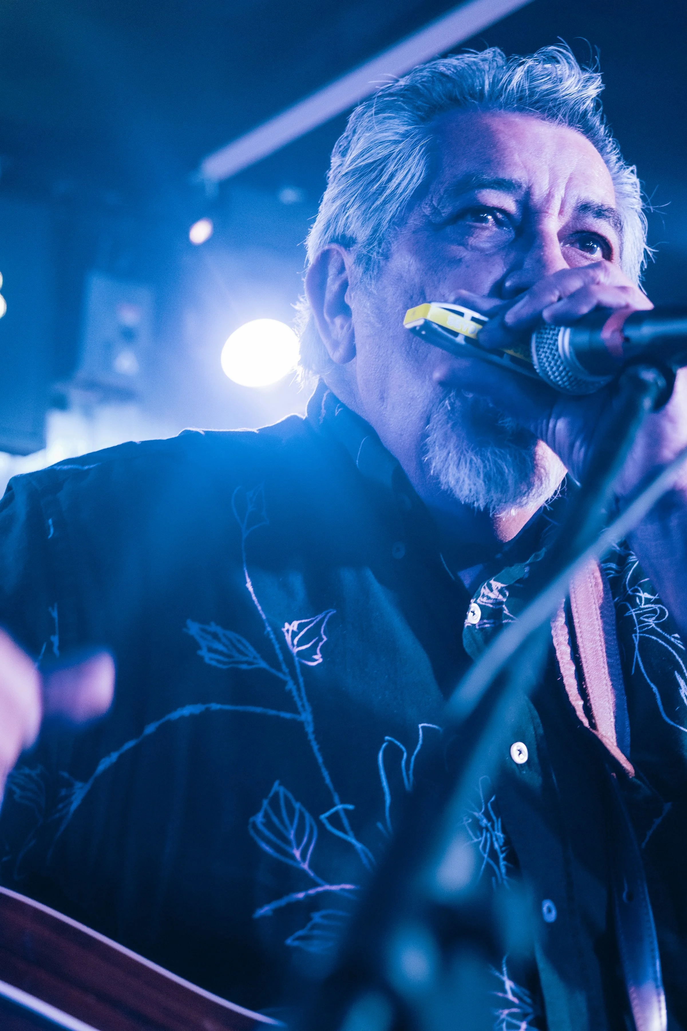 Un hombre mayor con barba plateada y cabello gris claro cantando o hablando en un micrófono en un escenario con iluminación azul y blanca.