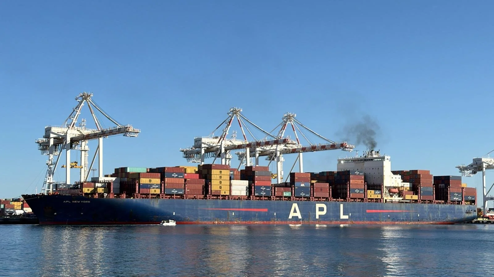 Daily Cargo News - The Bradfield Bulletin