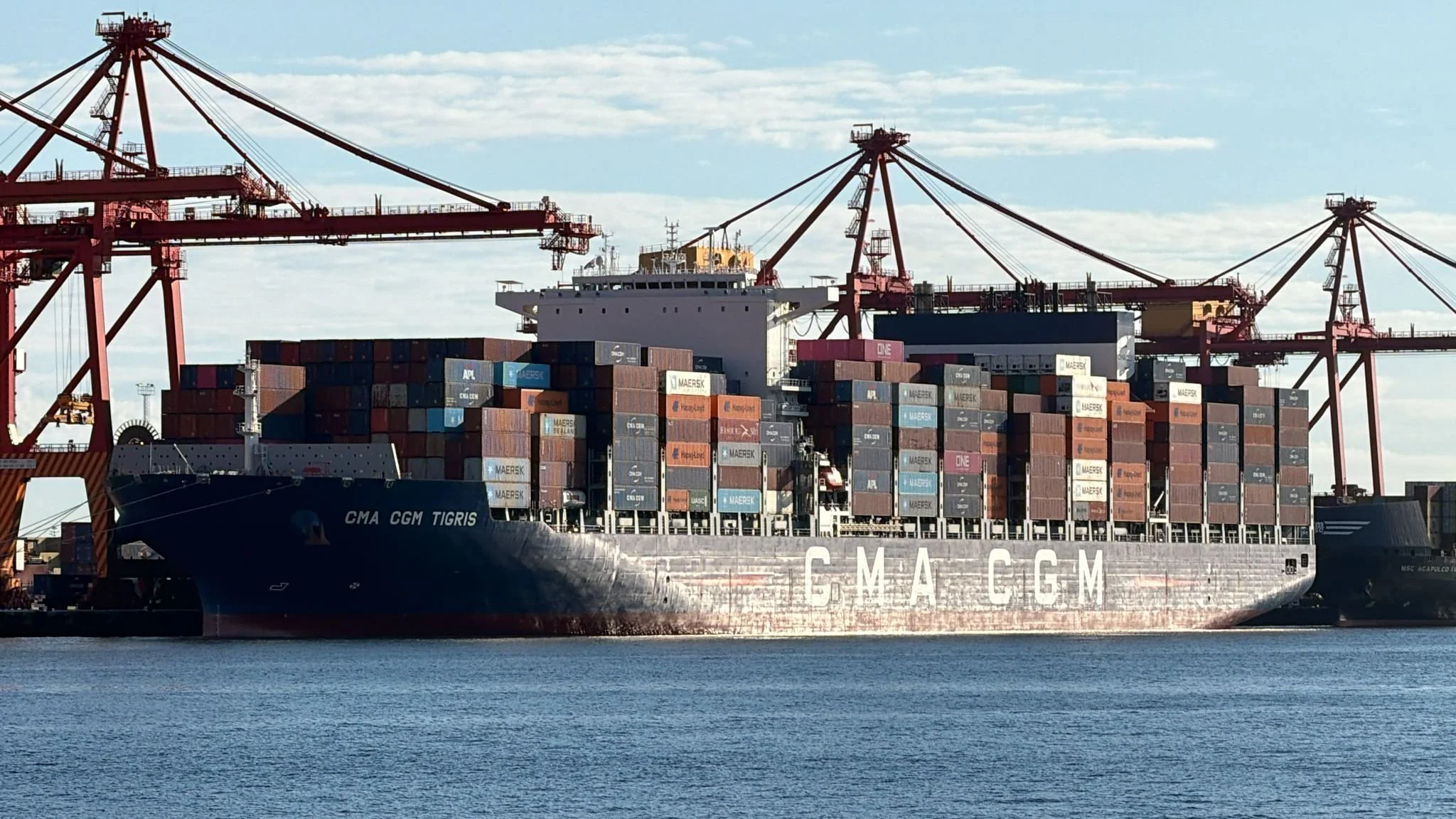 Daily Cargo News - The Bradfield Bulletin 