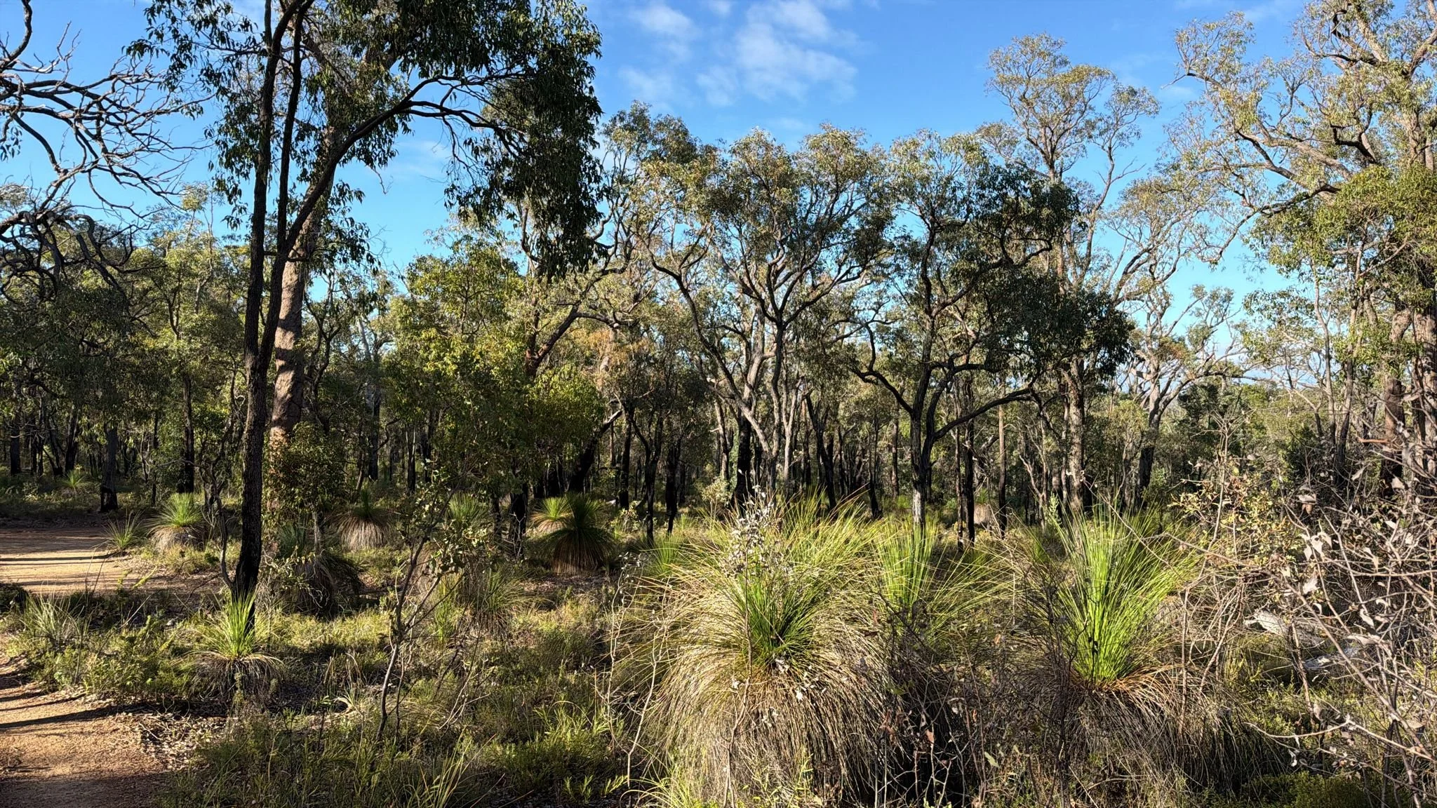 Biosecurity Clearance Delays in Australia: What Importers Need to Know