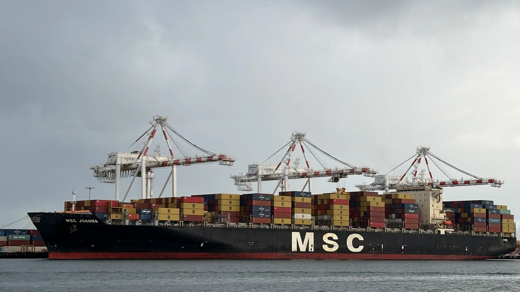Daily Cargo News - The Bradfield Bulletin