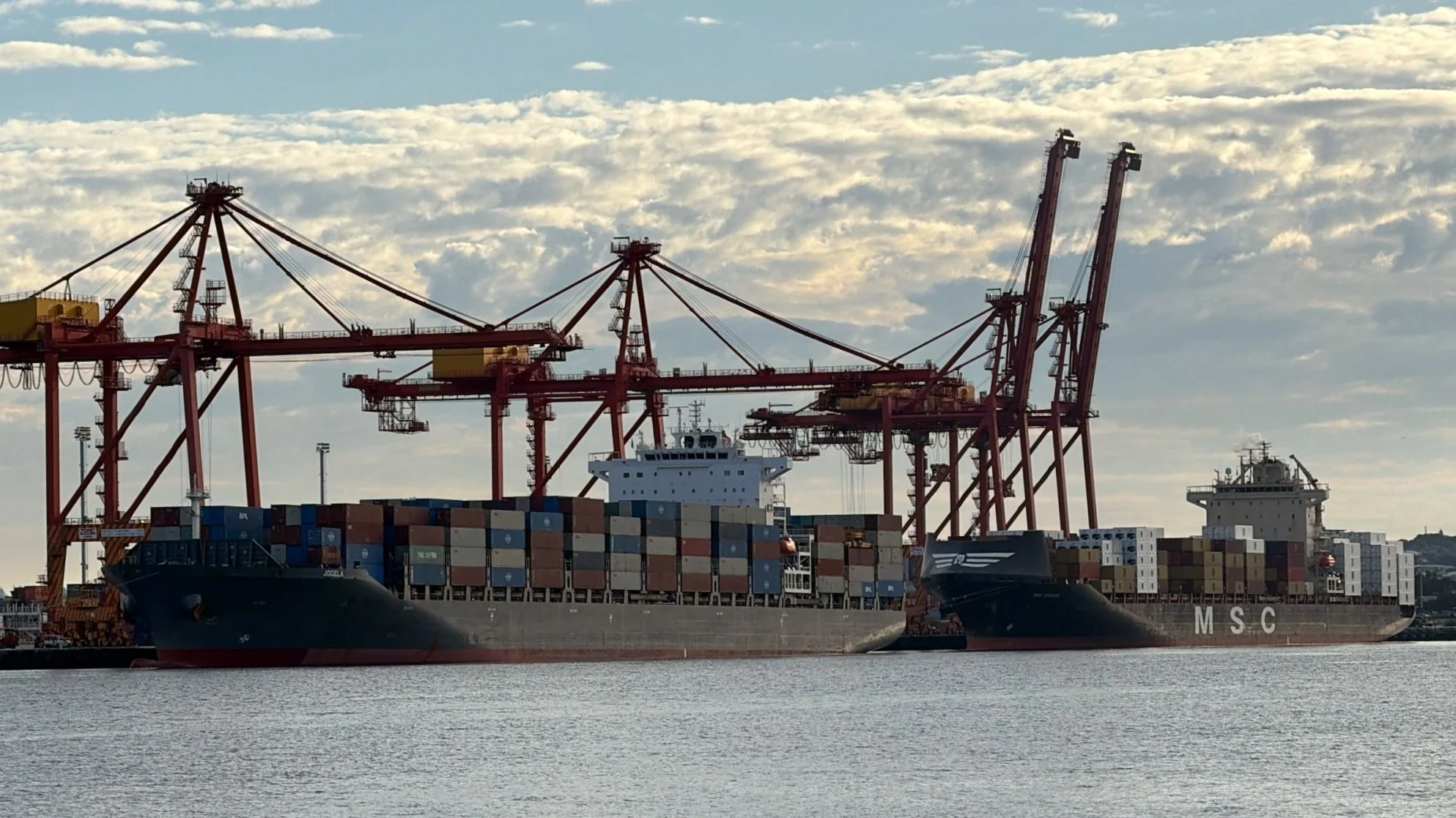 Daily Cargo News - The Bradfield Bulletin