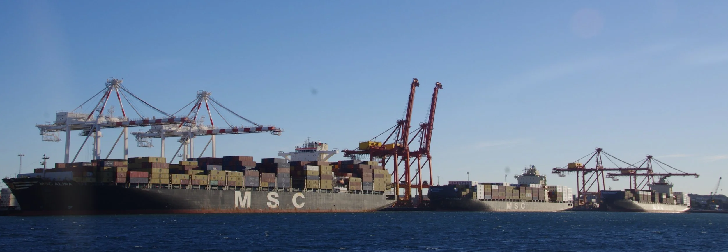 Daily Cargo News - The Bradfield Bulletin