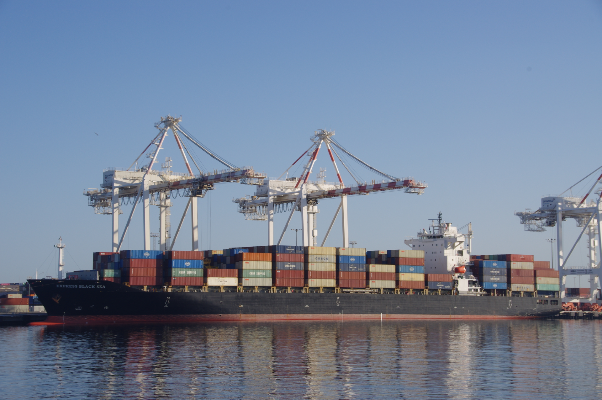Daily Cargo News - The Bradfield Bulletin
