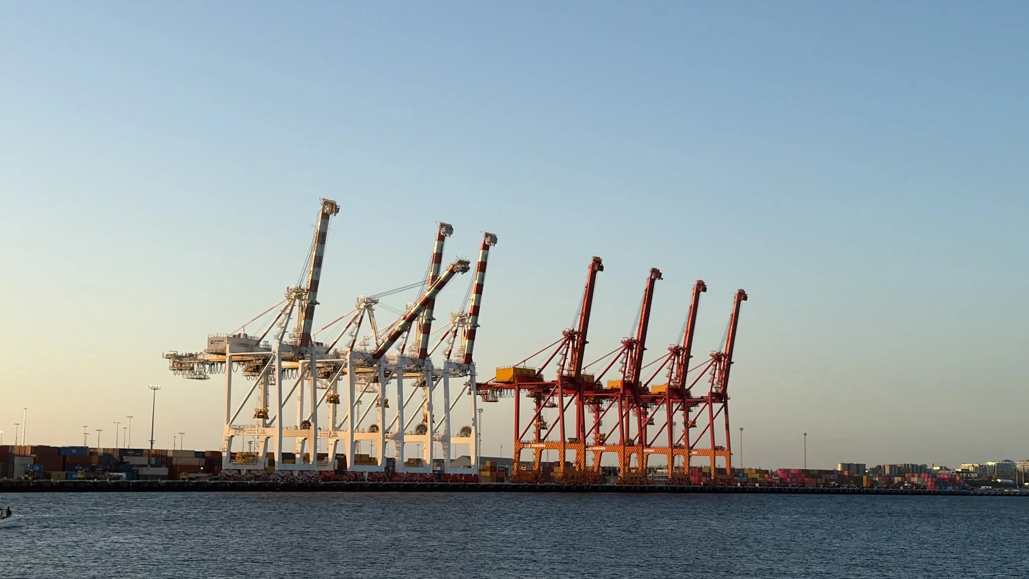 When Ships Arrive Together: Understanding Vessel Bunching