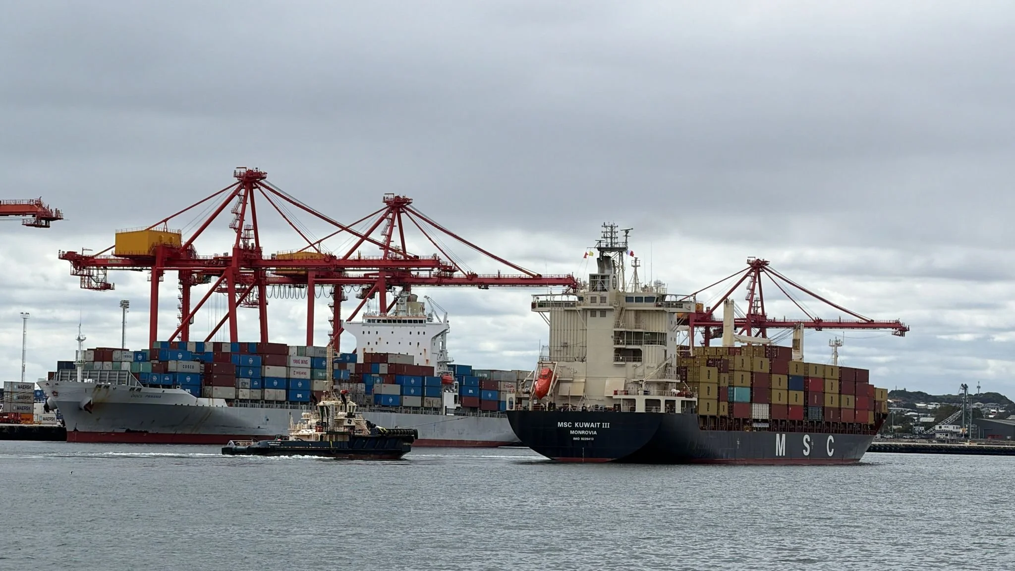 Asia Congestion Puts Pressure on Global Container Capacity