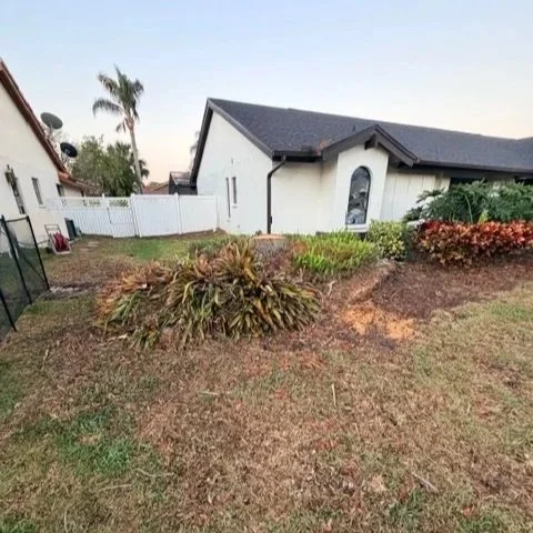 Stump & Shrub Removal | Before