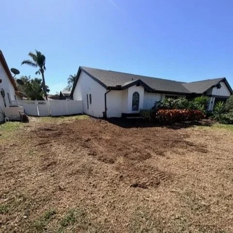 Stump & Shrub Removal | After