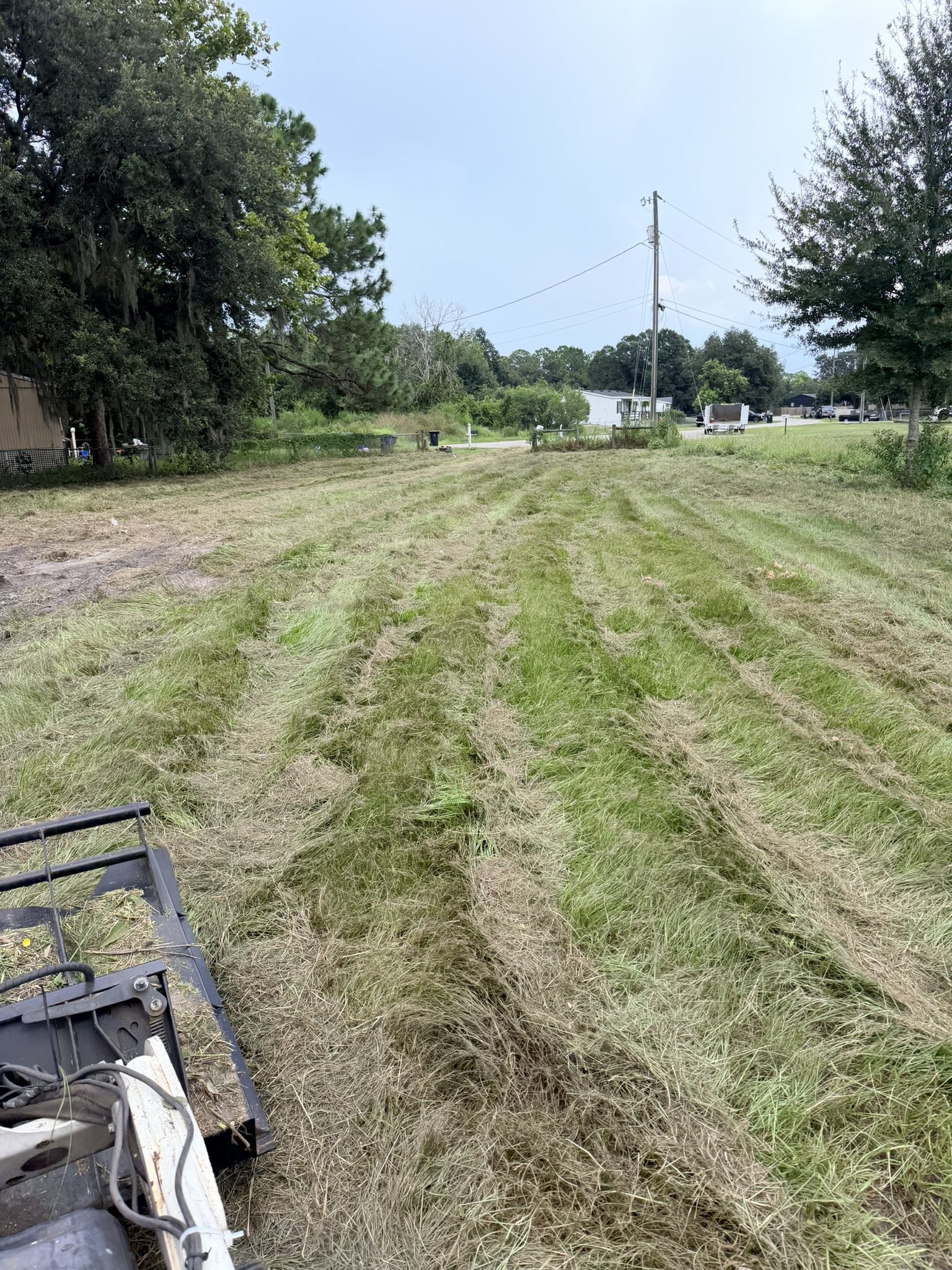 Land Clearing | After