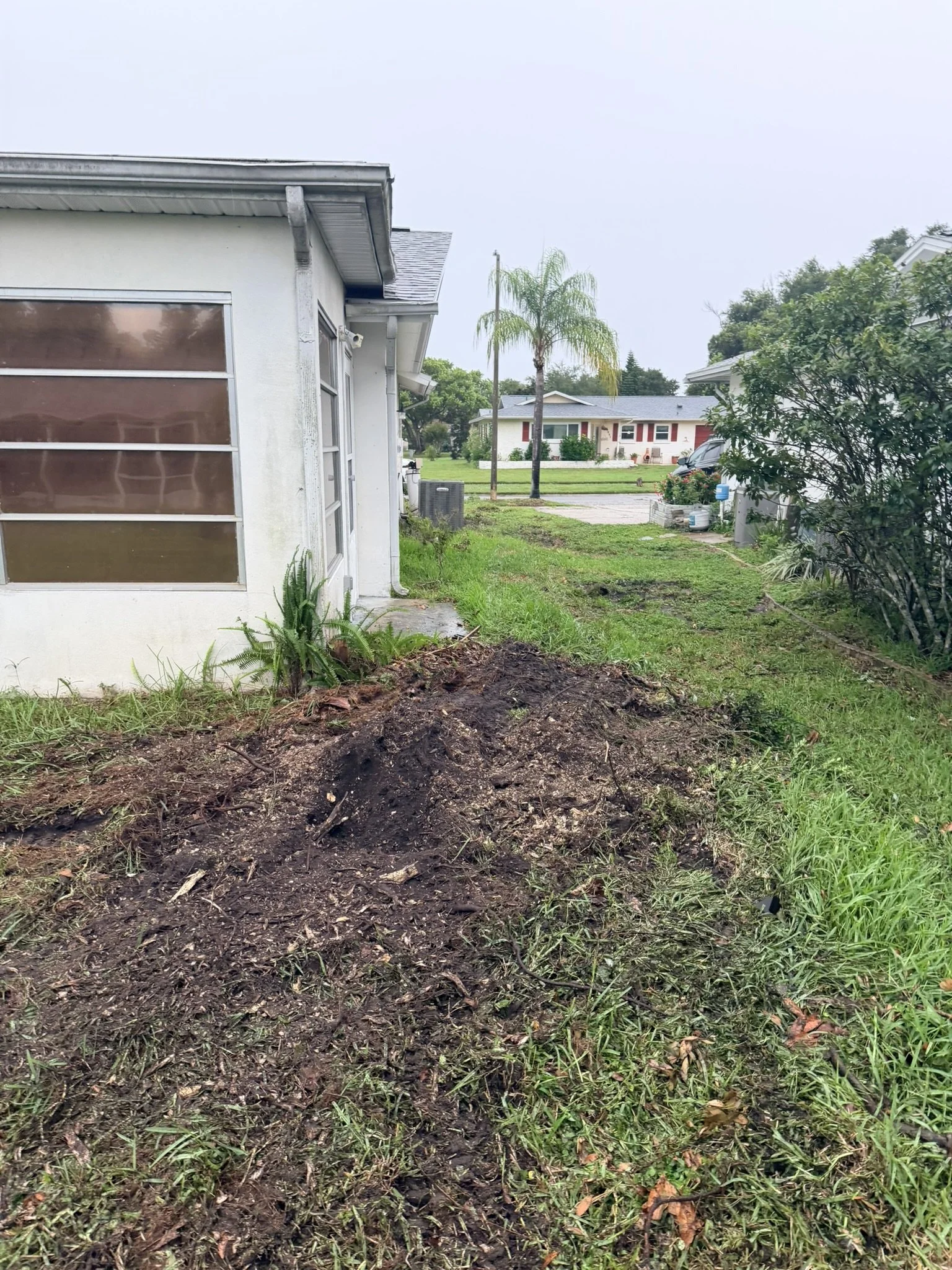 Shrub Removal | After