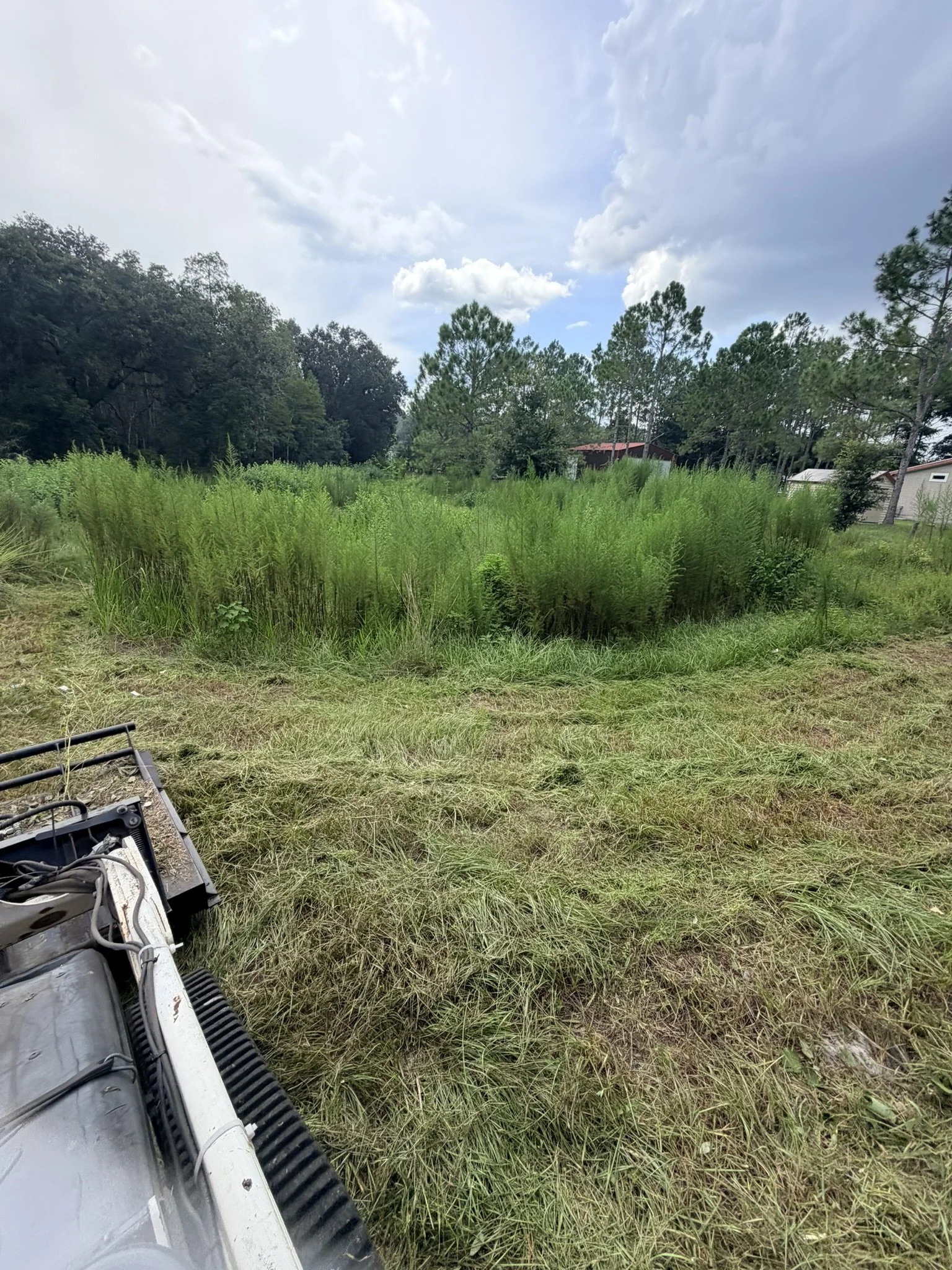 Land Clearing | Before
