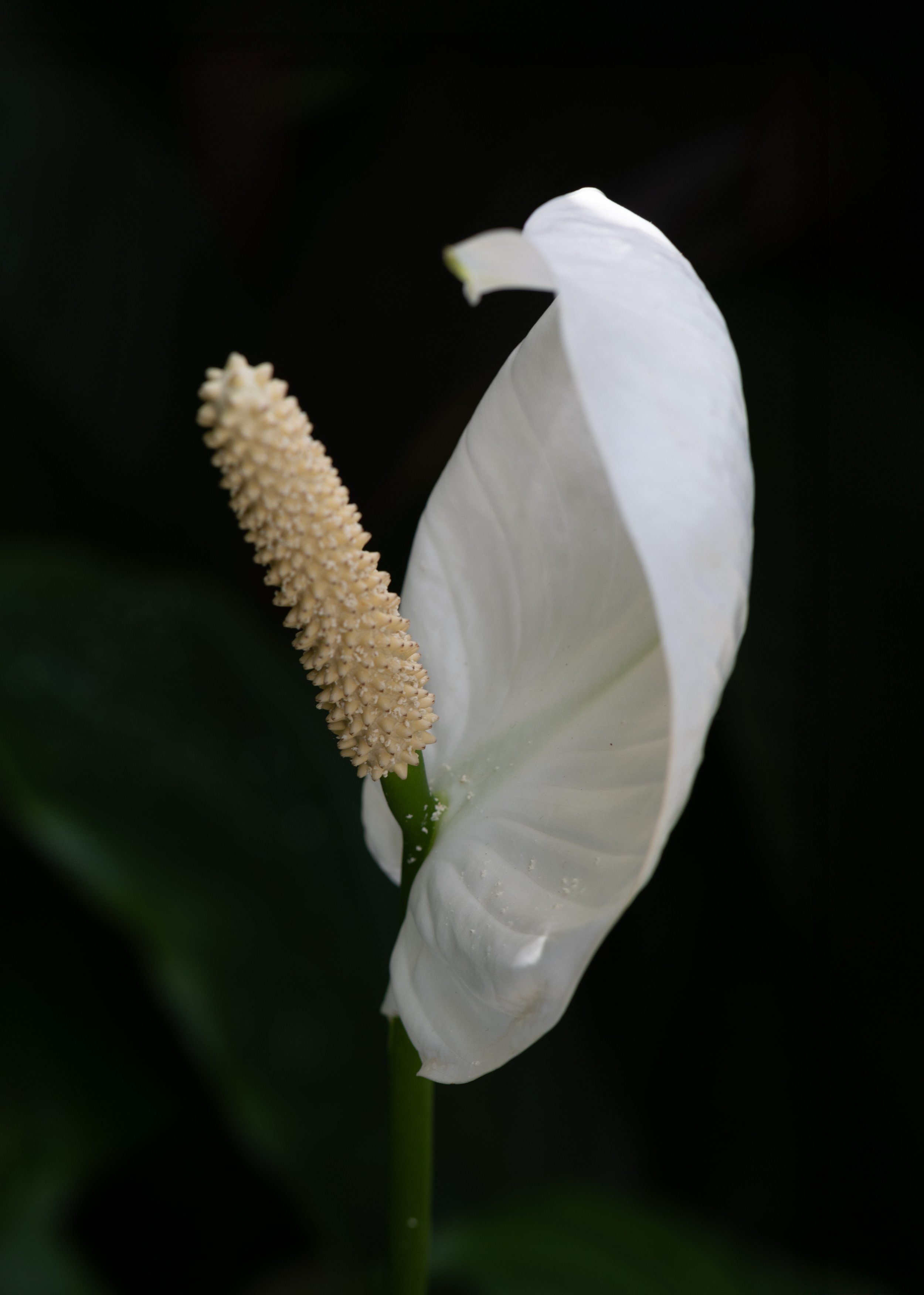 portfolio2-7.jpg