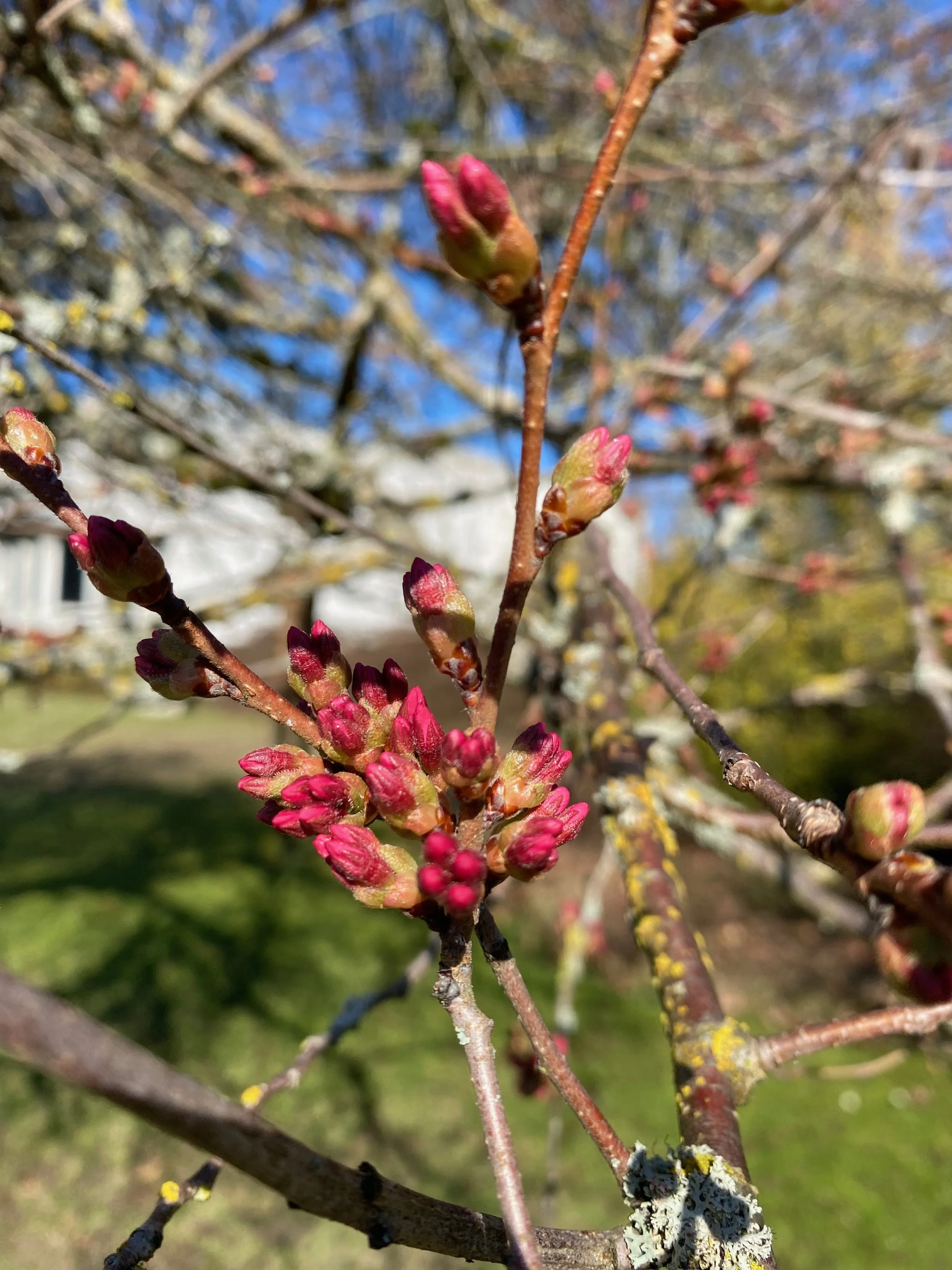 Community online sessions