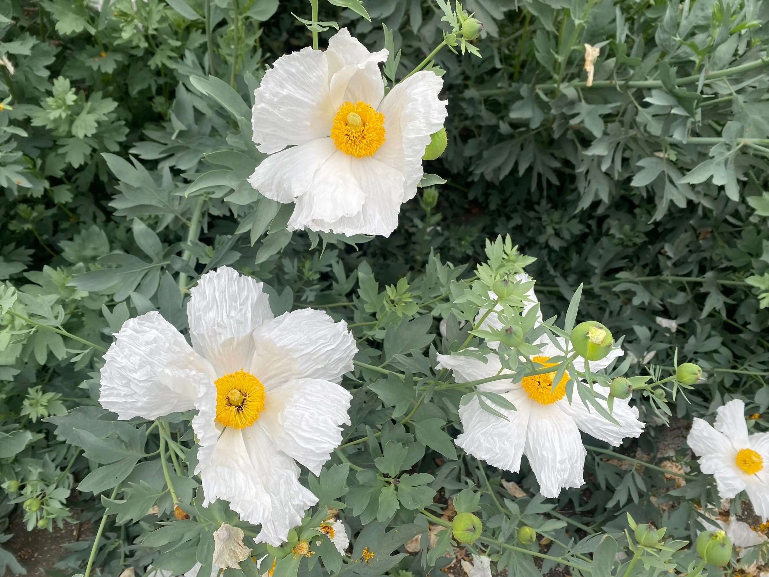 1:1 In Person session