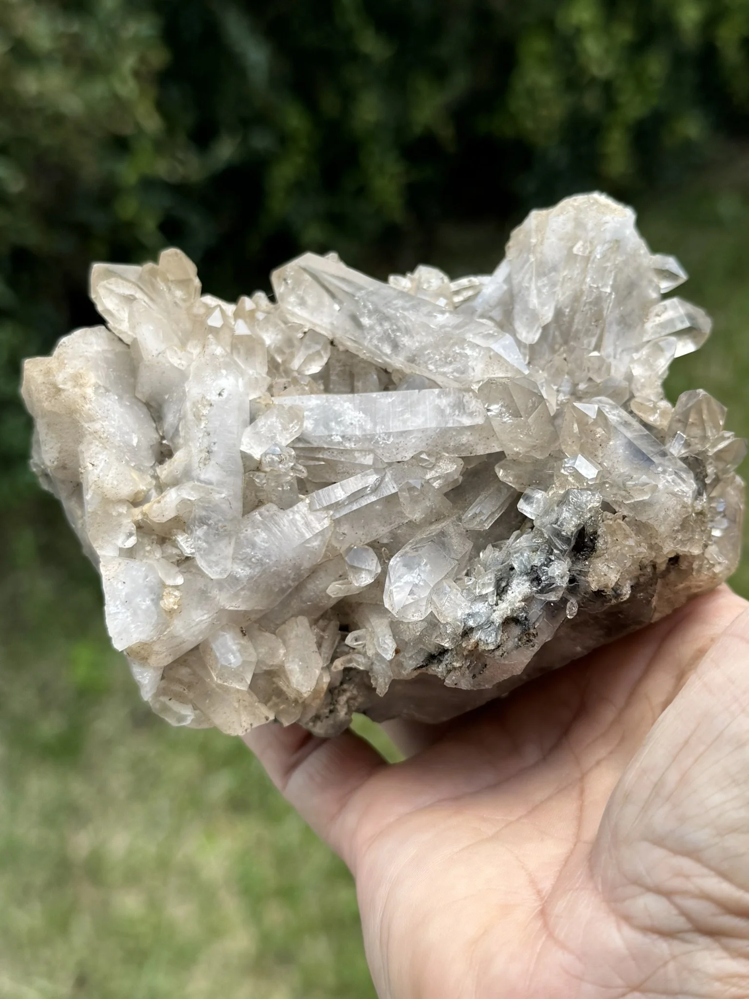 Quartz cluster with black tourmaline inclusions