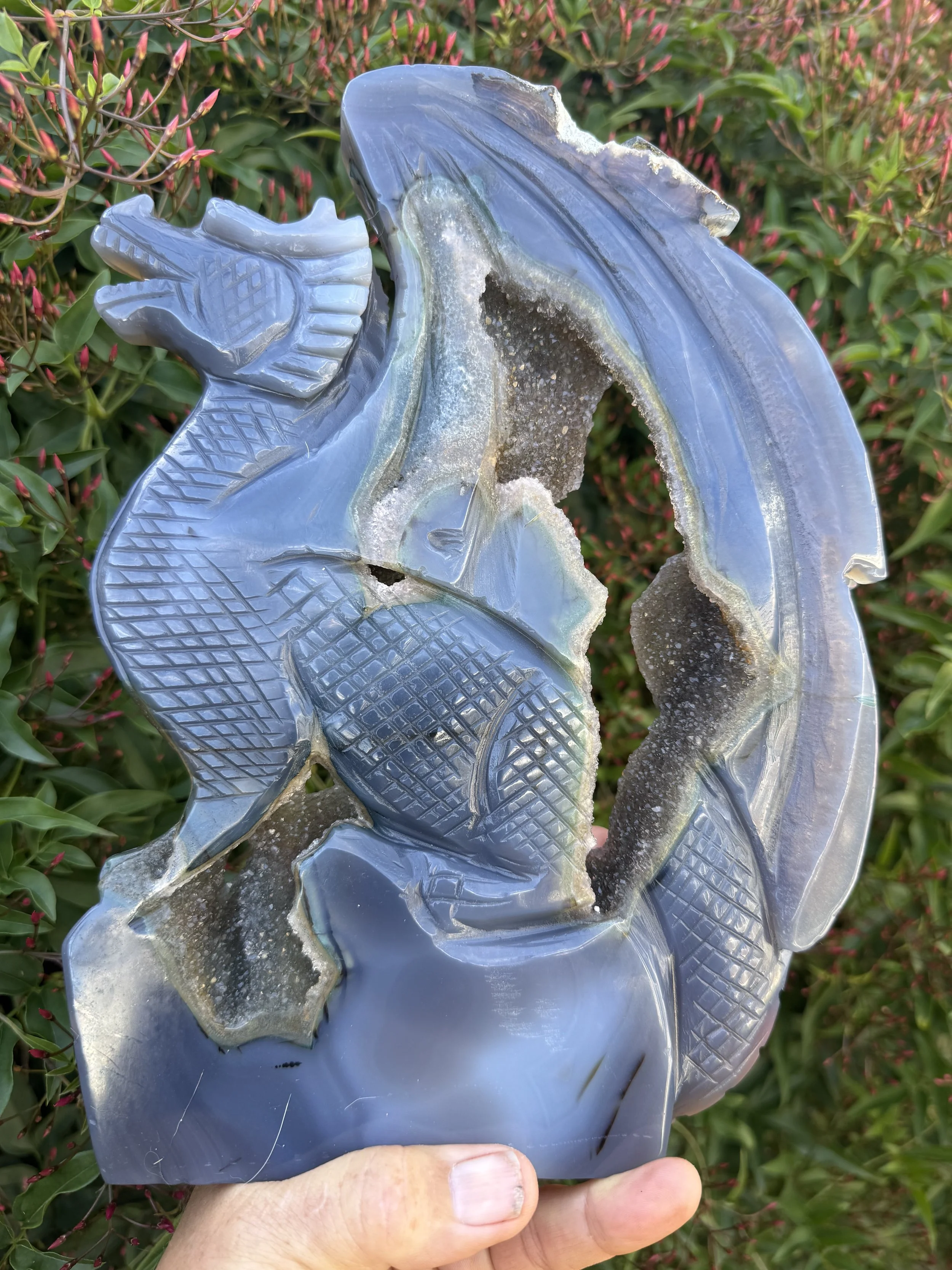 Blue Agate Dragon XL with druzy