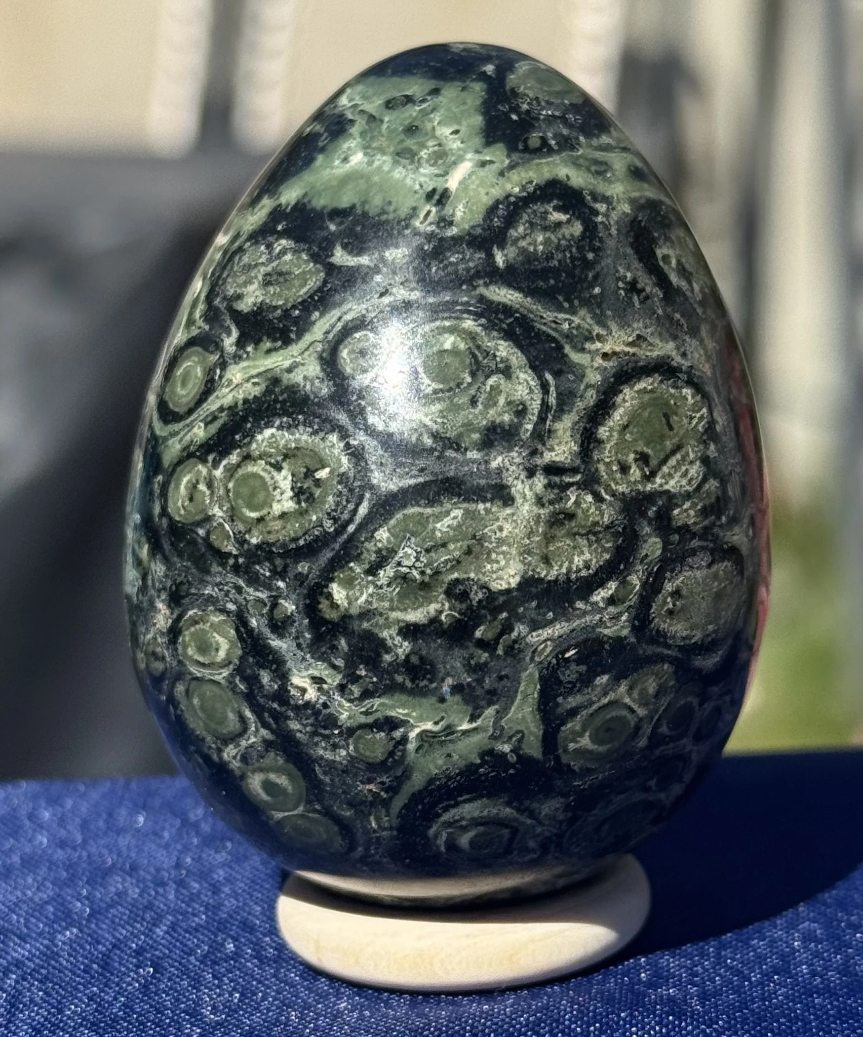 Kambaba Jasper egg