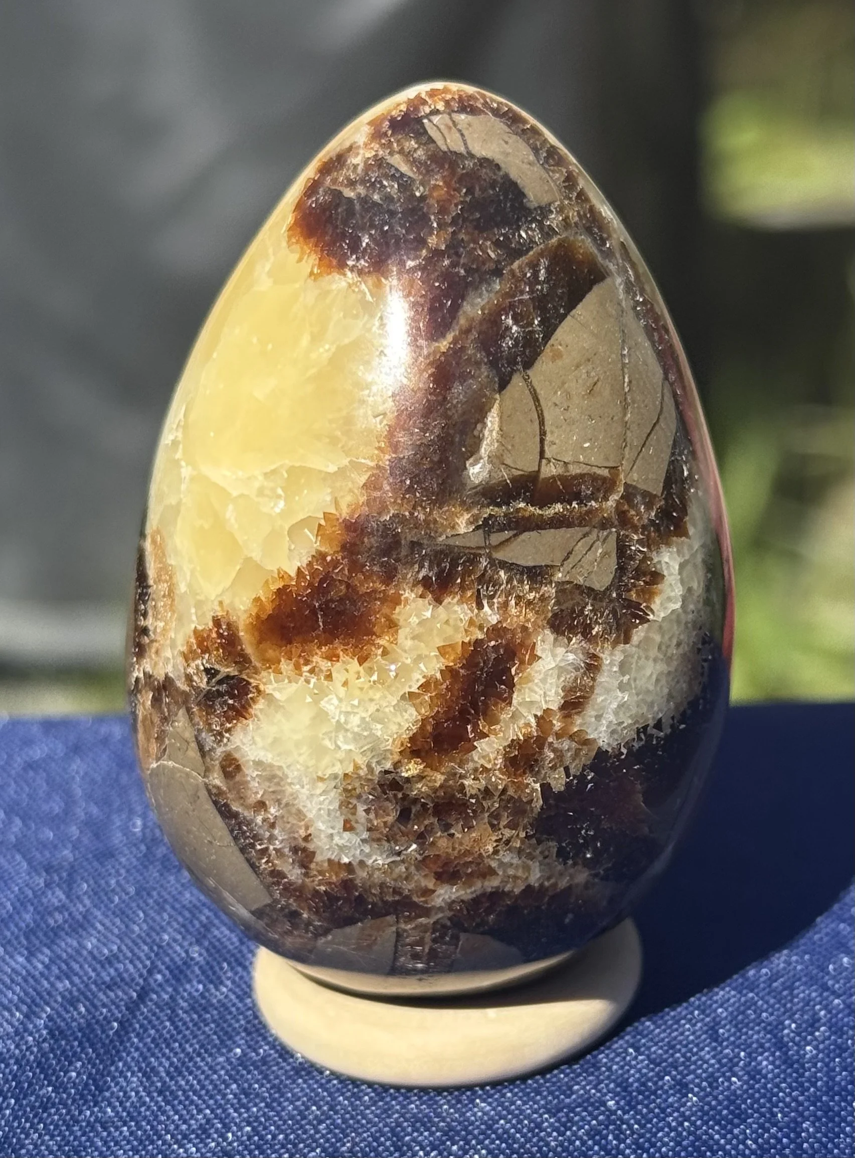 Septarian Egg