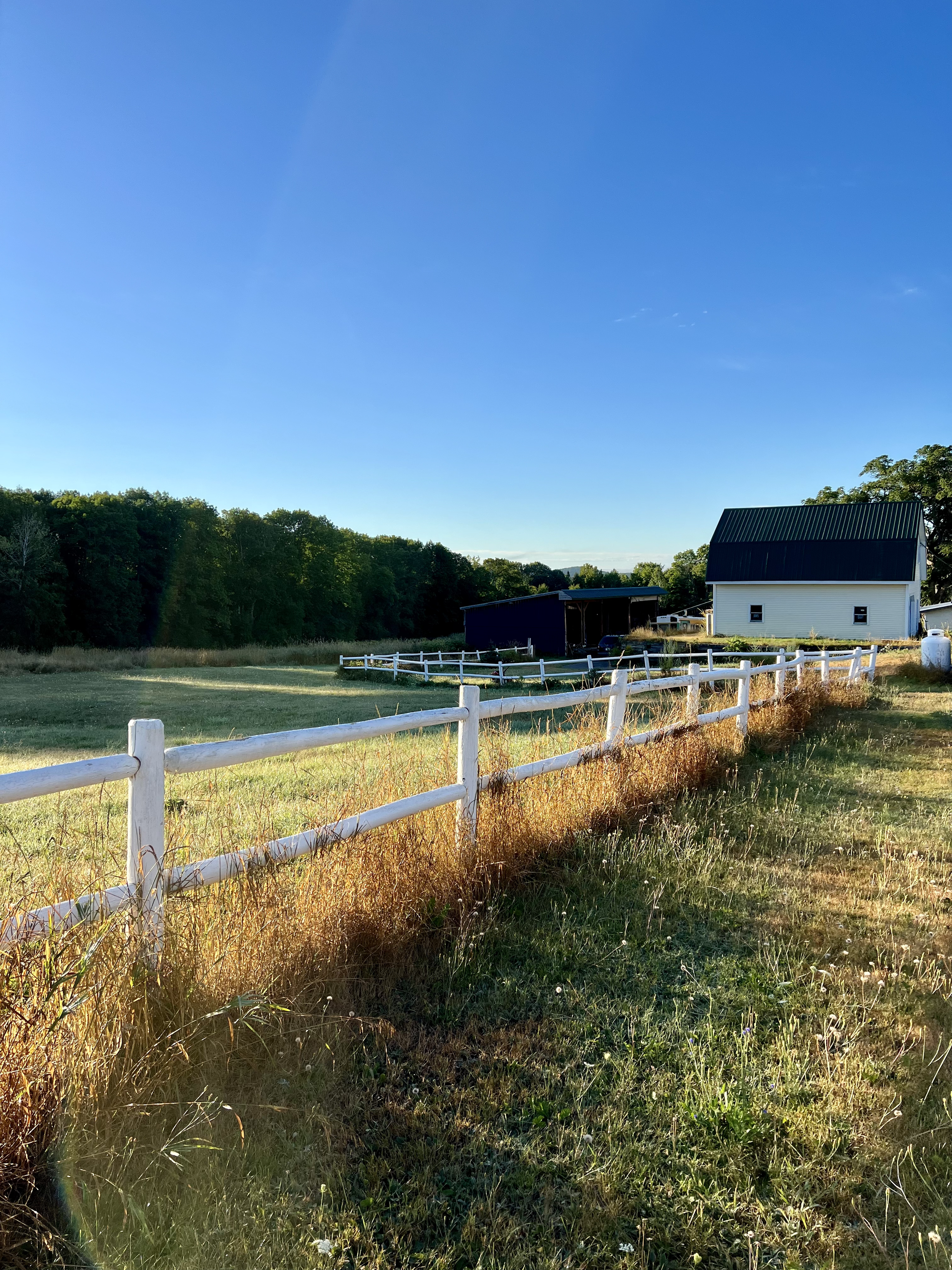 A rural scene with a white fence, a grassy field, a black barn, and a white house with a dark roof under a clear blue sky.
